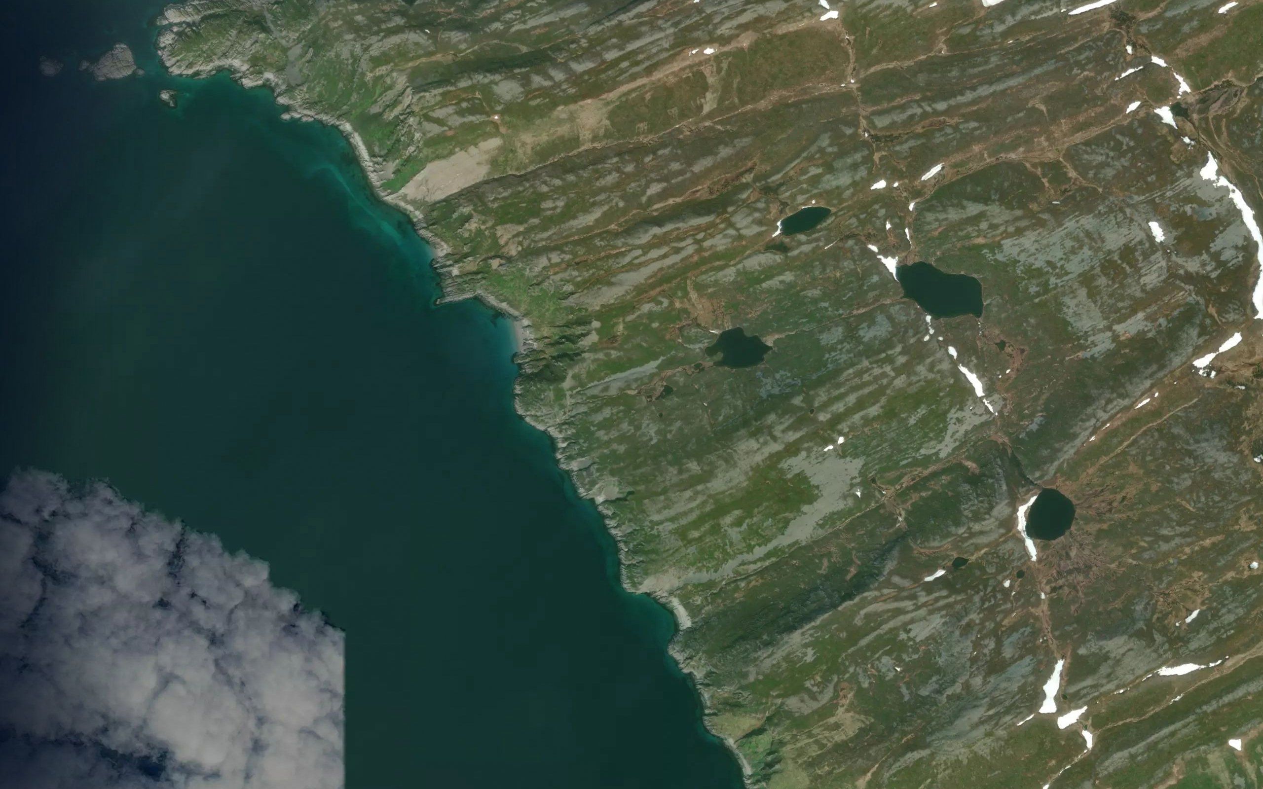 Auskarelva