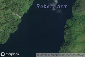 Robert Arm