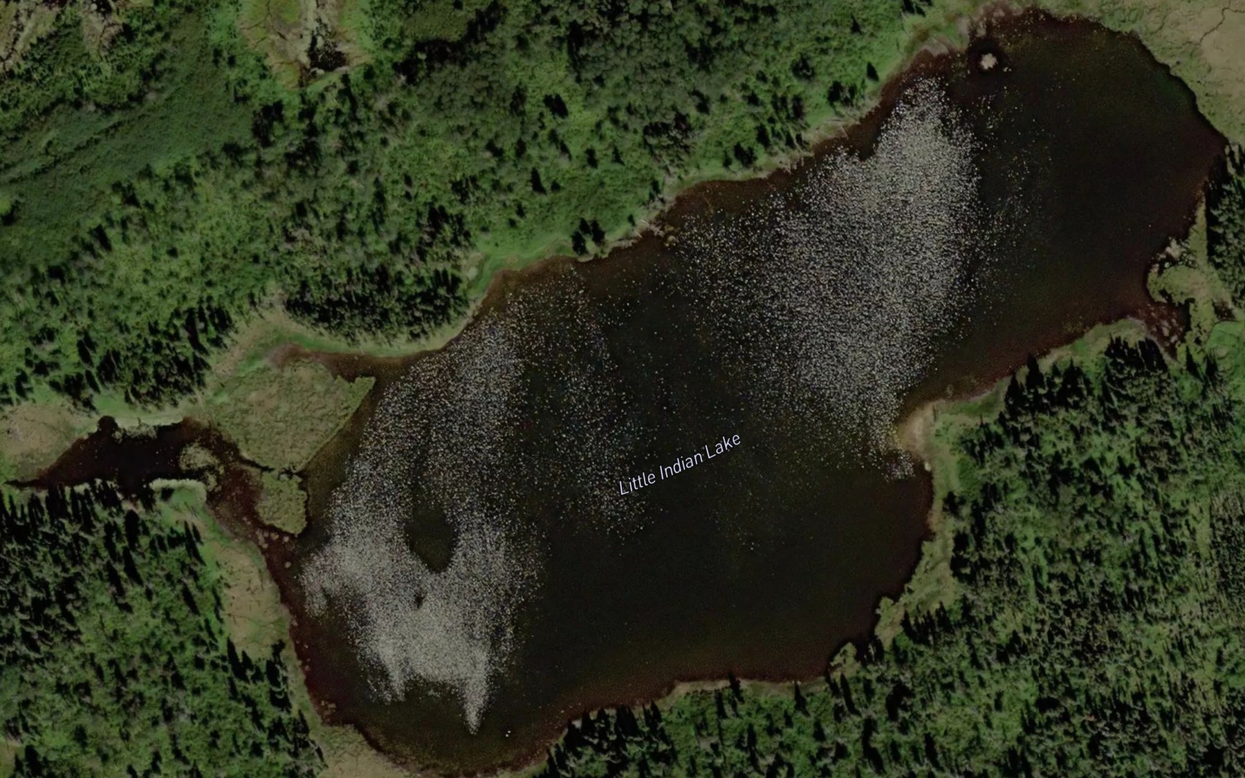 Satellite map of the Little Indian Lake