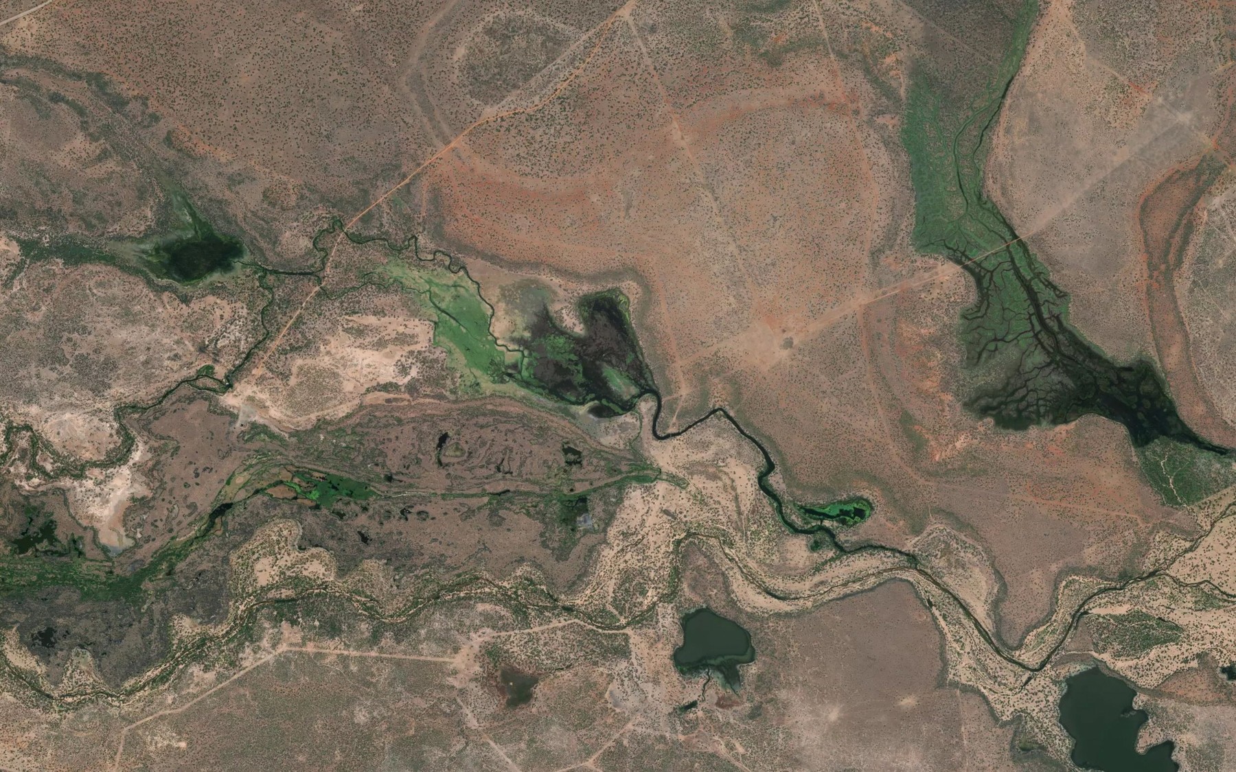 Satellite map of the Reedy Lake