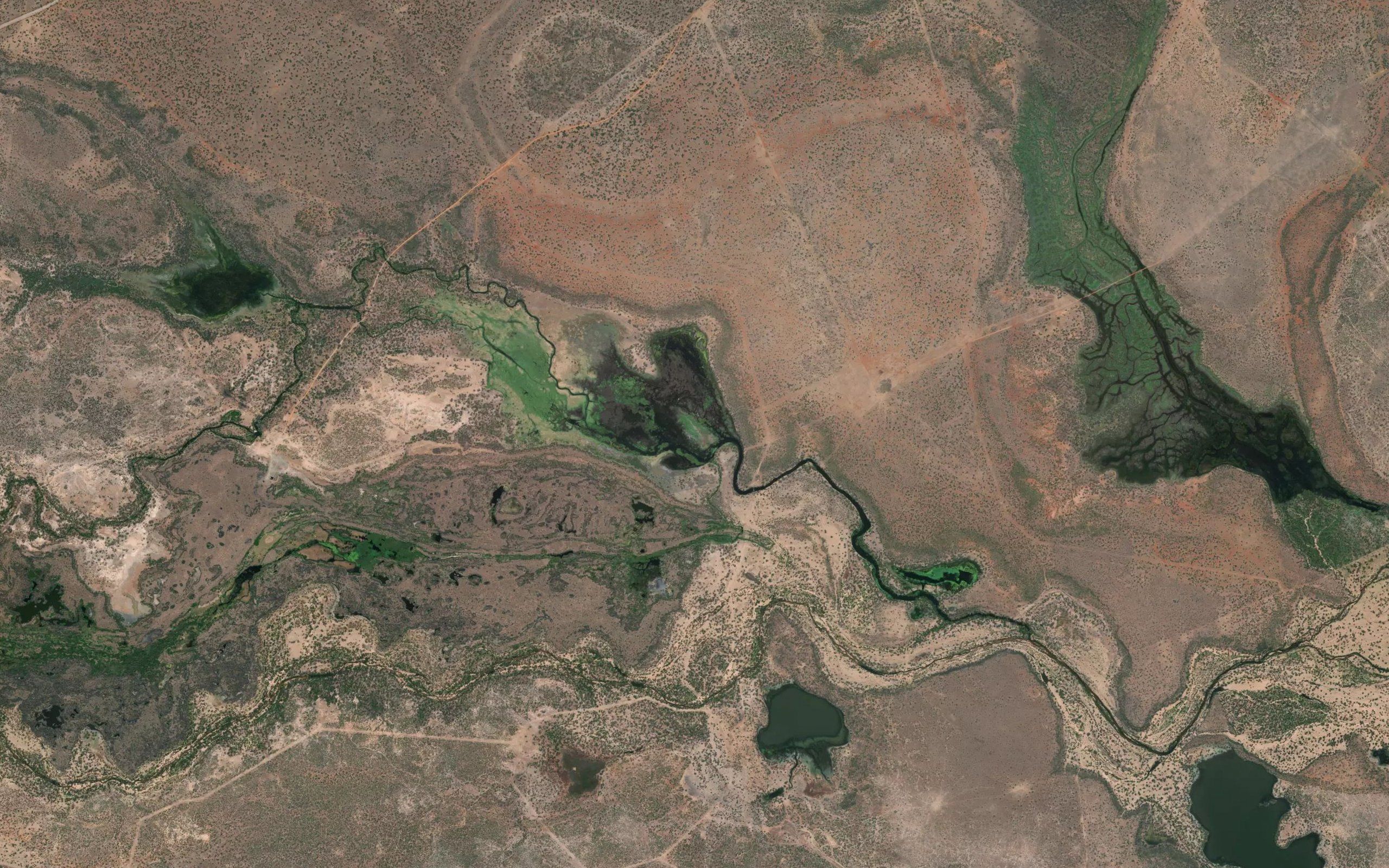 Reedy Lake