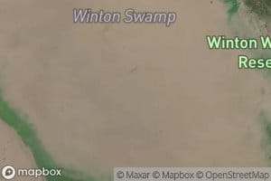Seven Mile Swamp