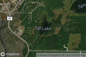 Tiff Lake