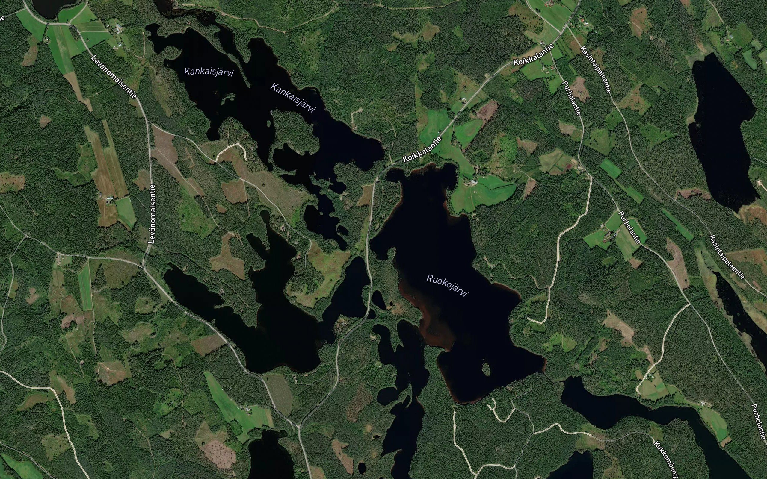 Kalkkionlahti
