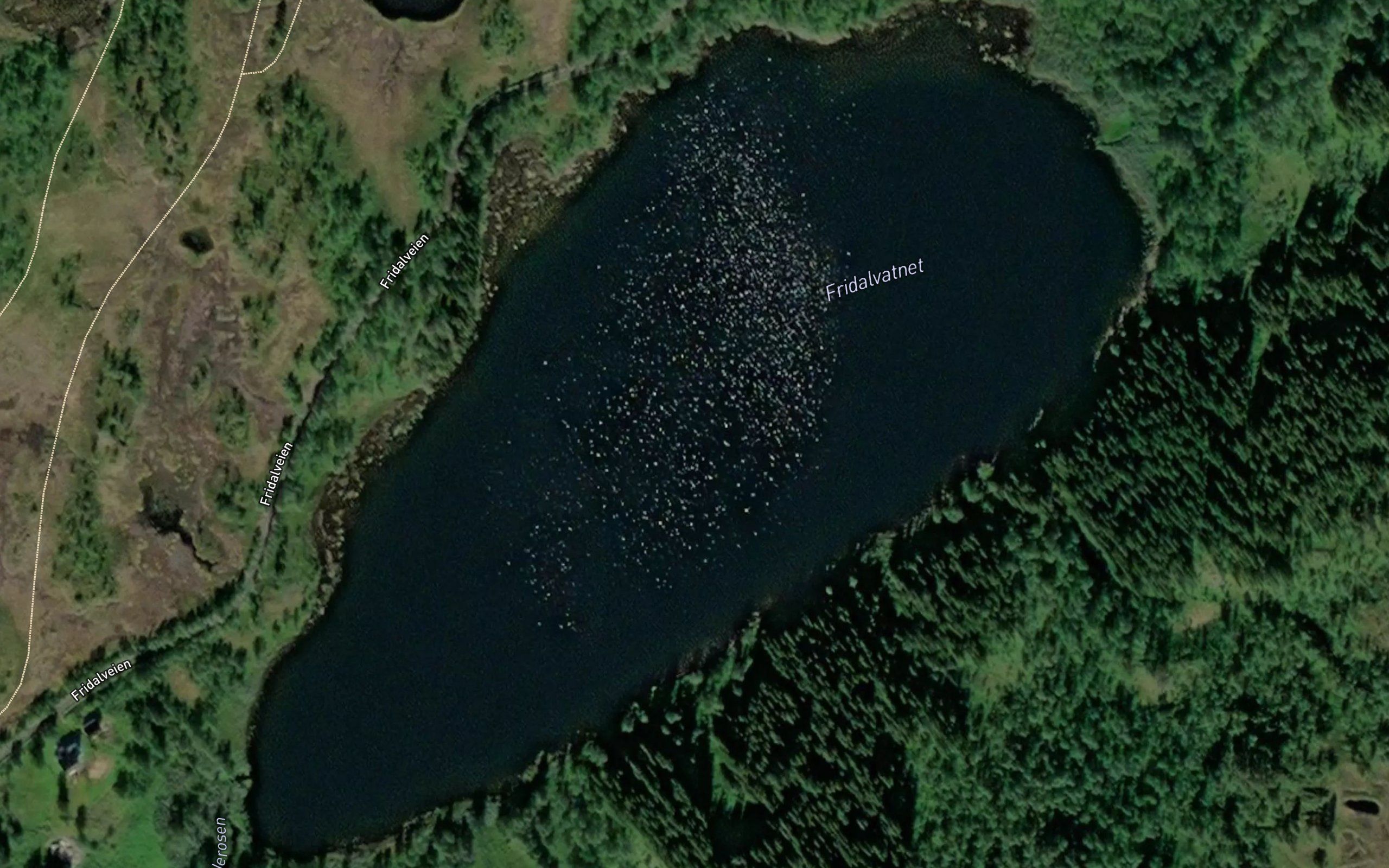 Fridalvatnet