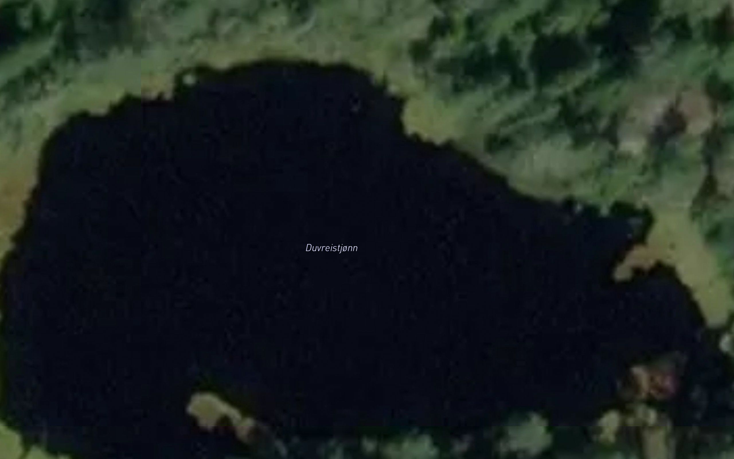 Duvreistjonn