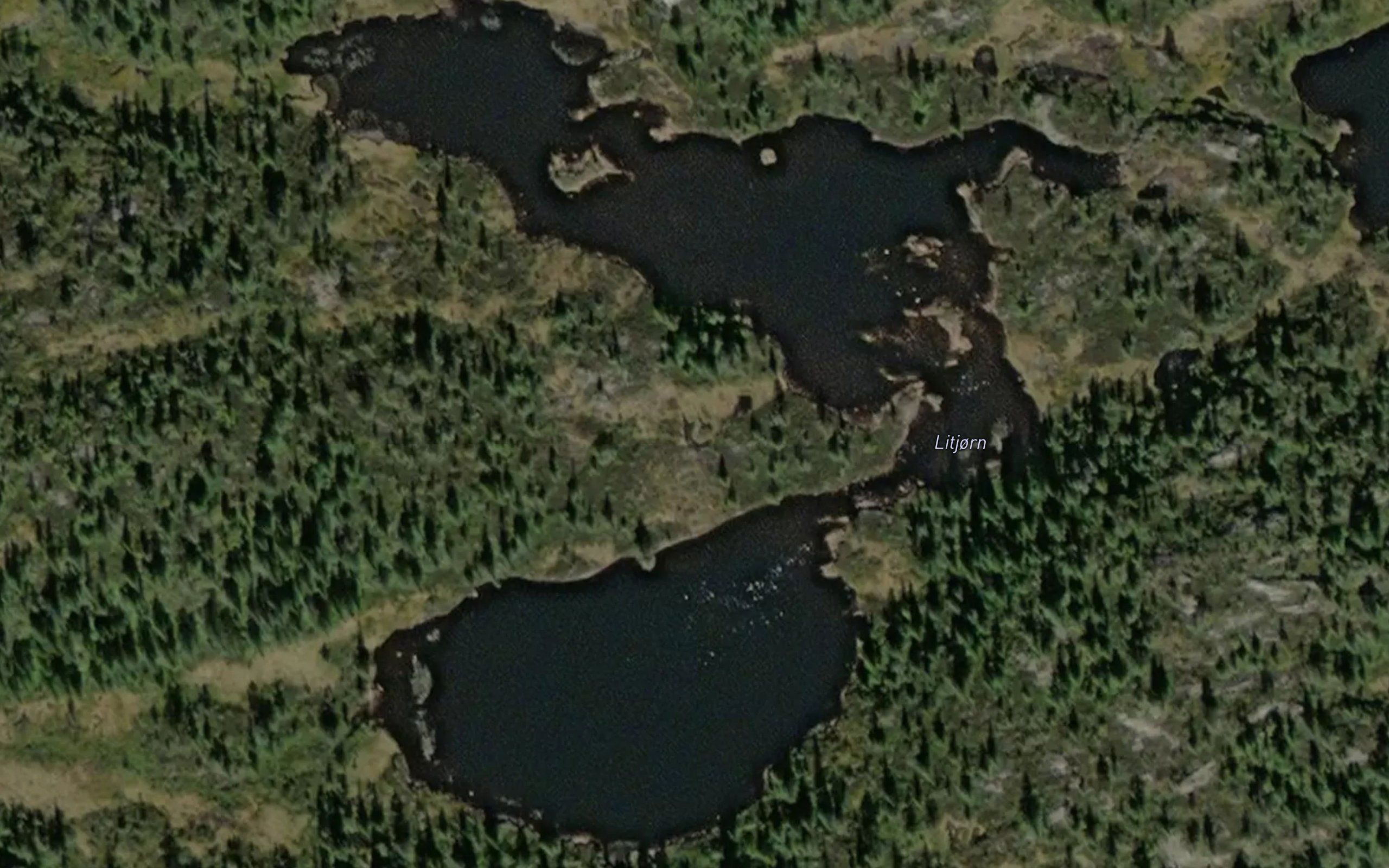 Litjorn
