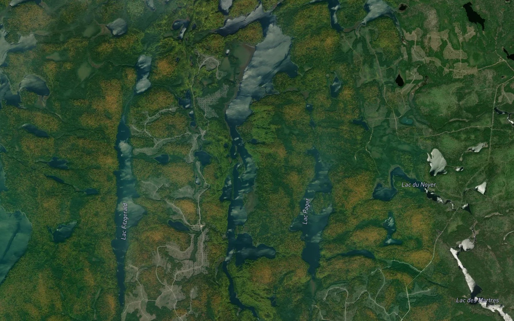 Satellite map of the Lac Nicolas