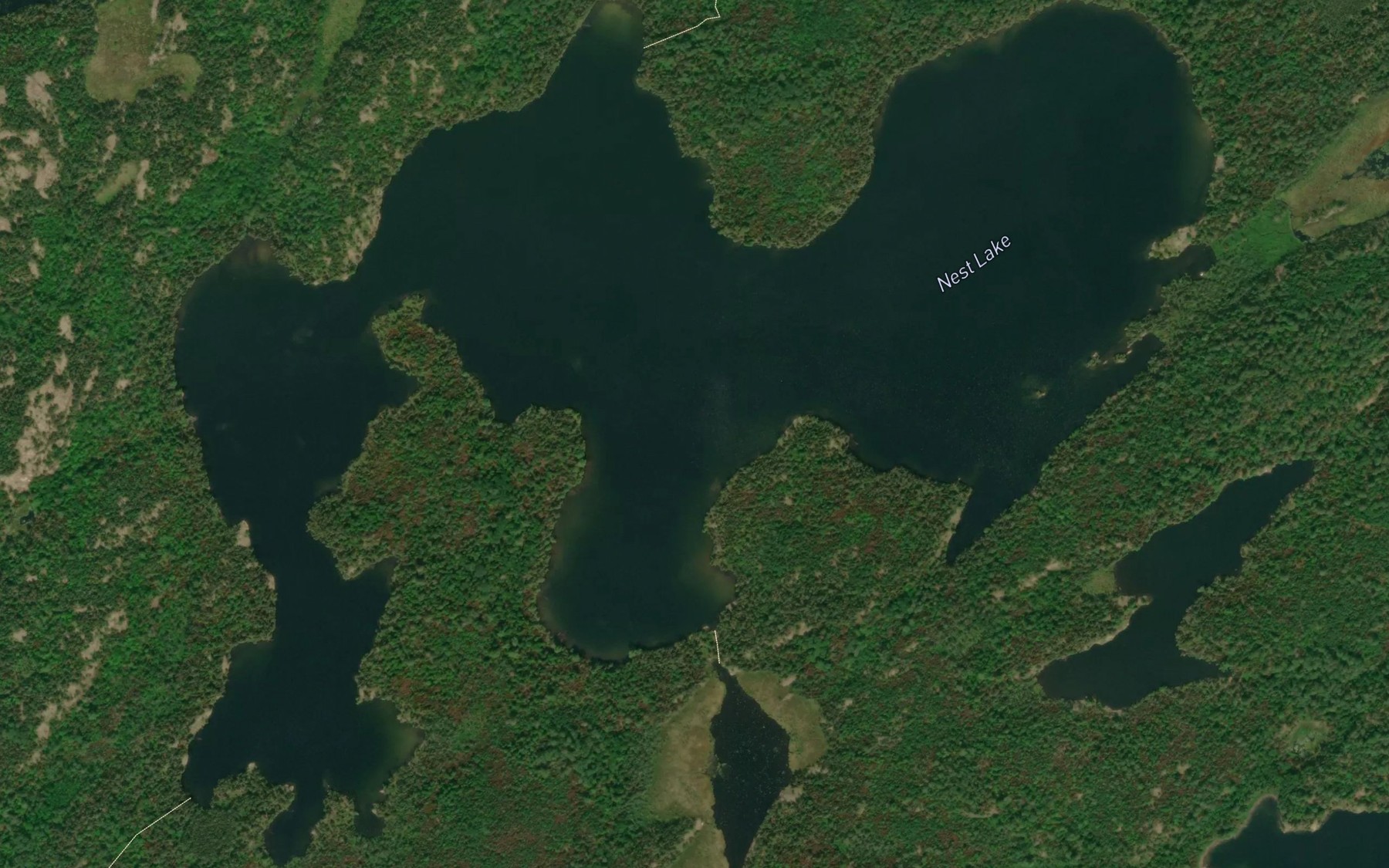 Satellite map of the Nest Lake