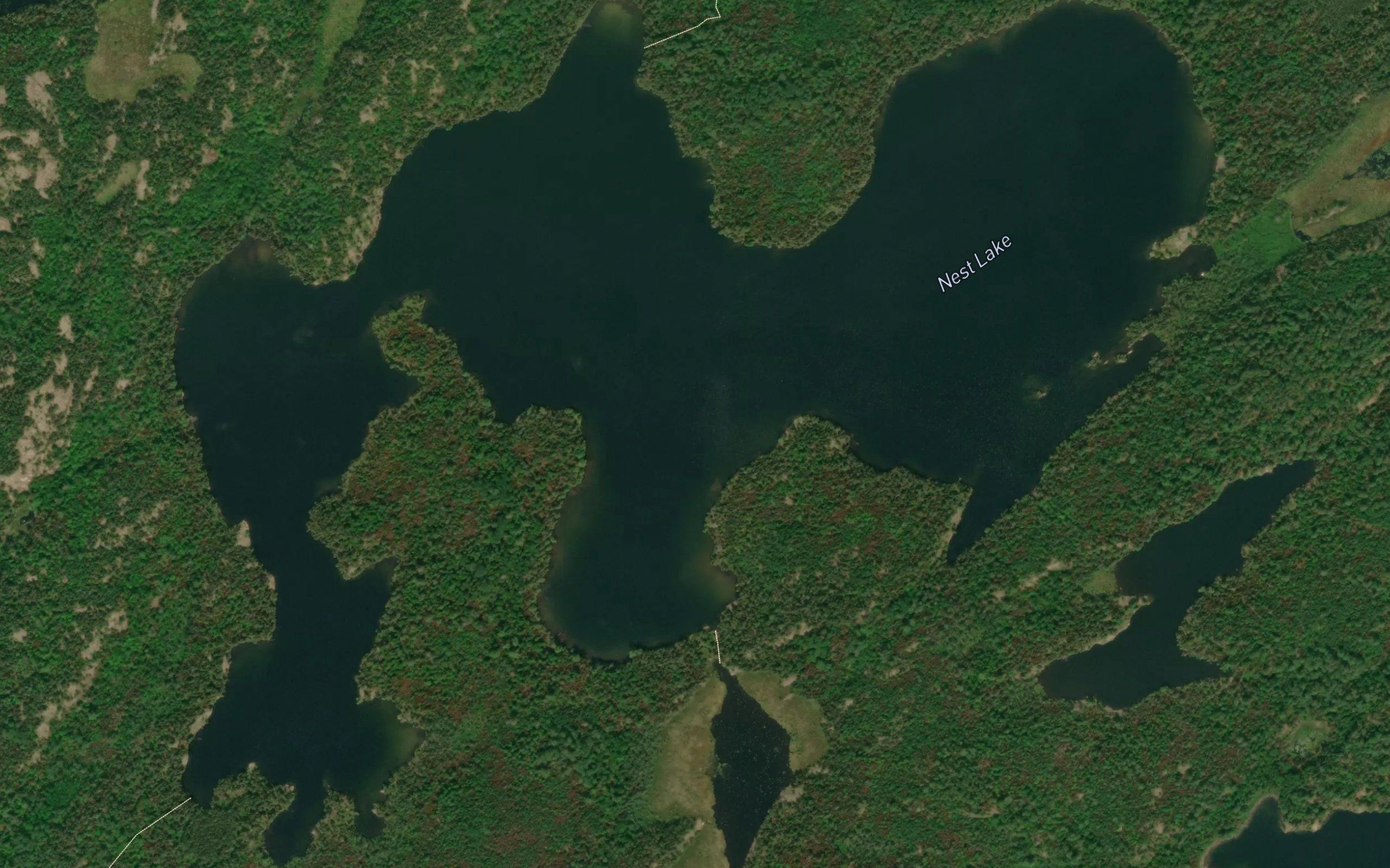 Nest Lake