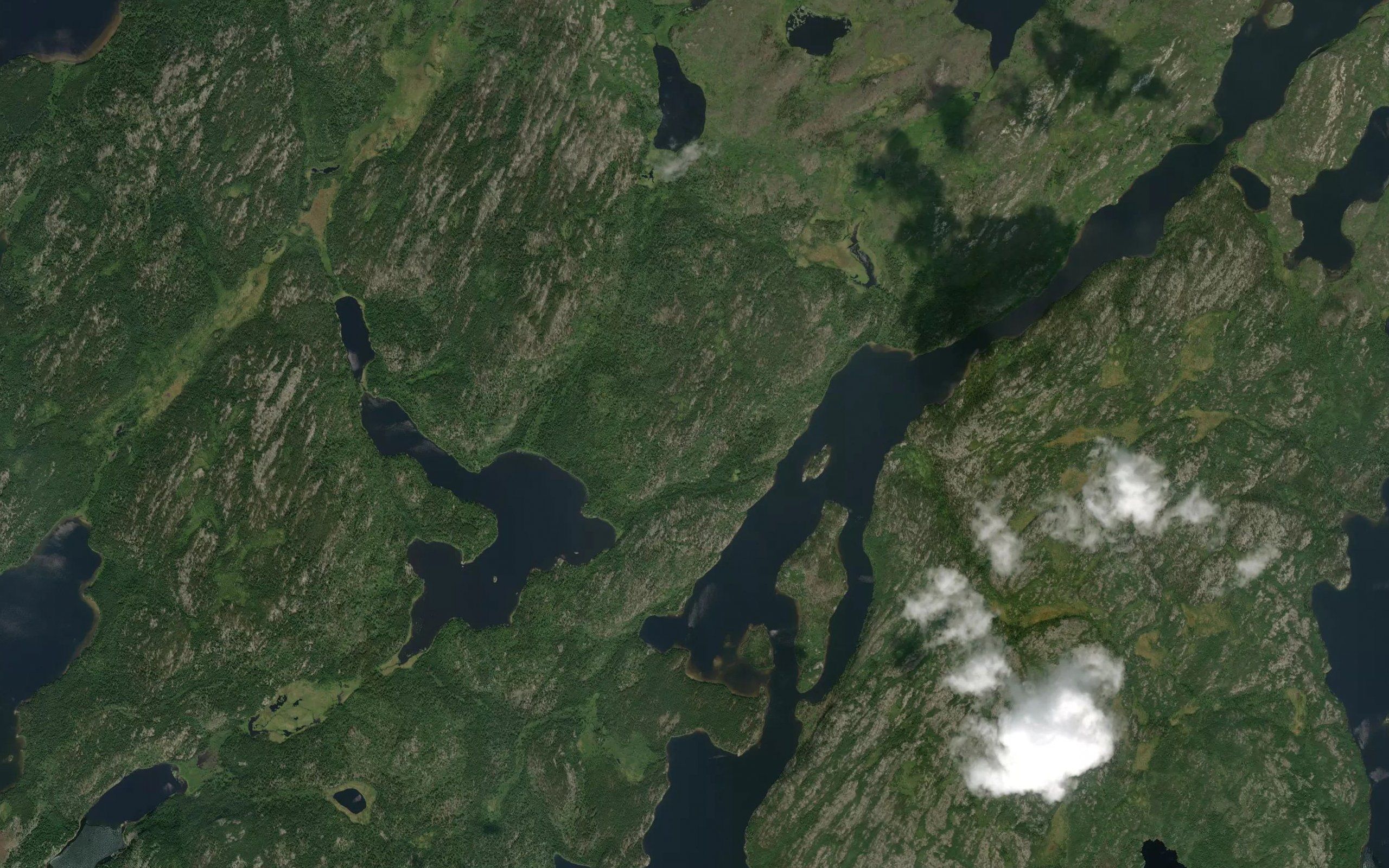 Banyard Lake