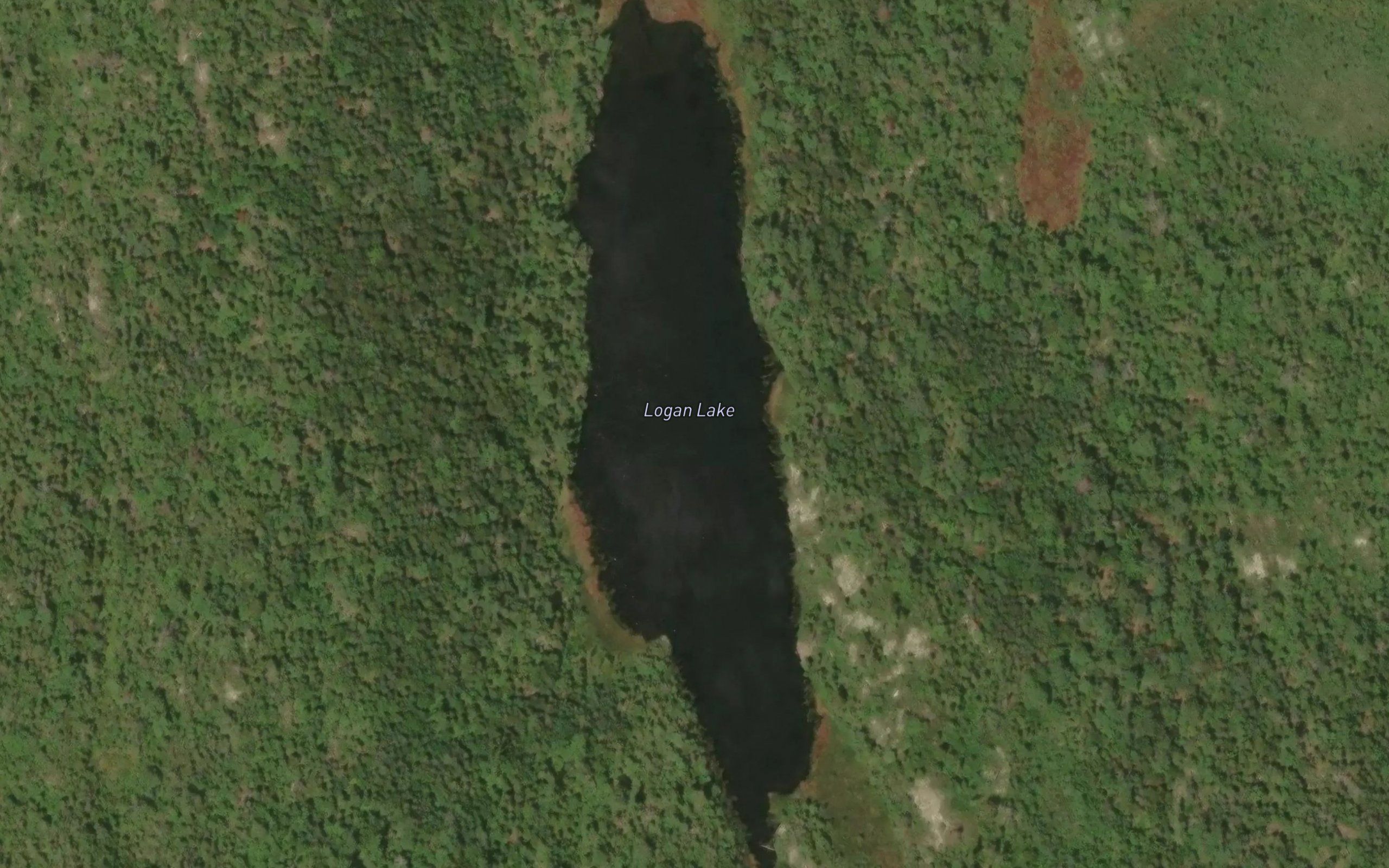 Logan Lake