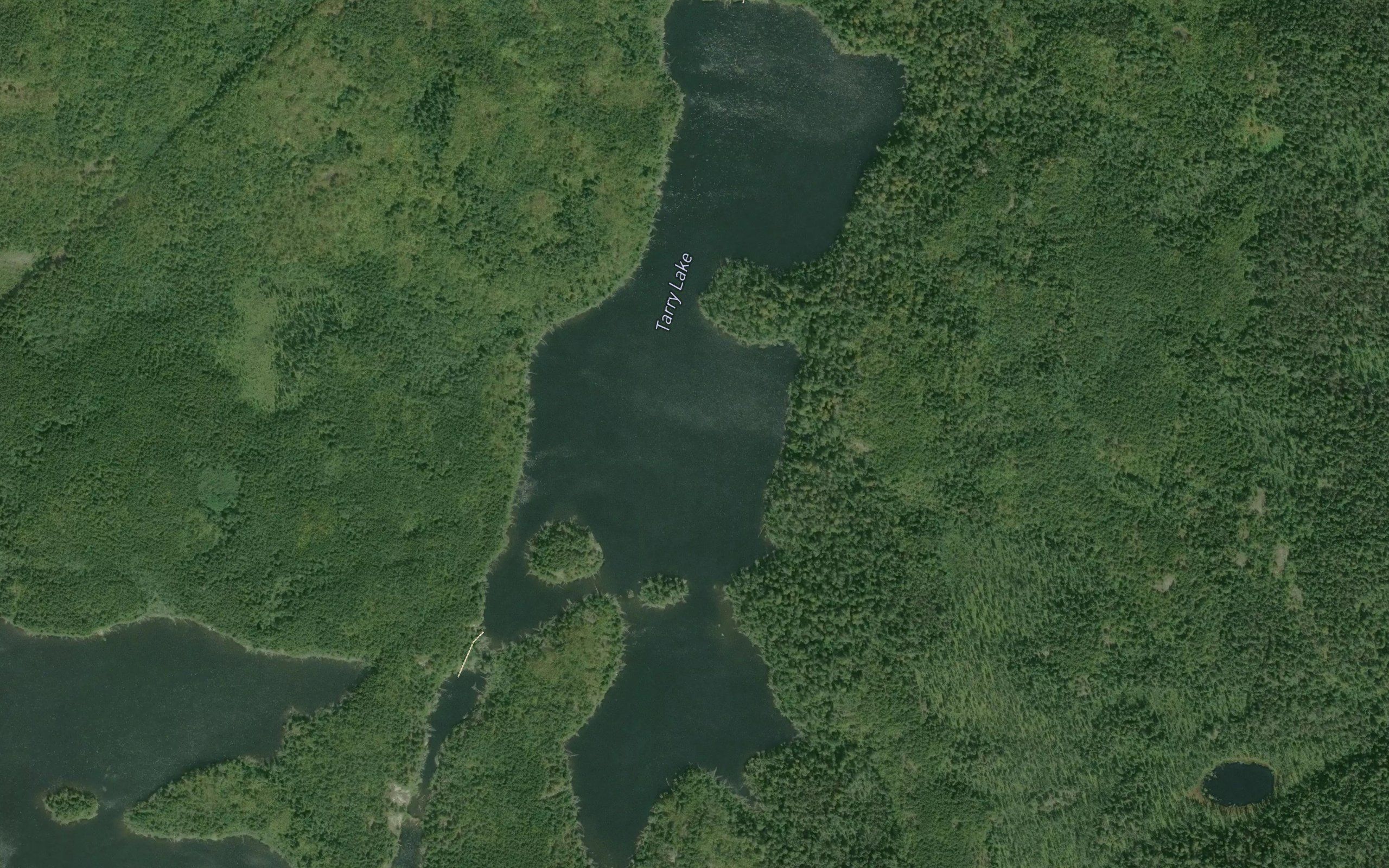 Tarry Lake