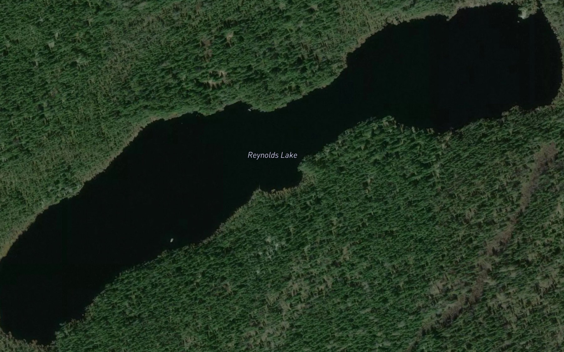 Satellite map of the Reynolds Lake