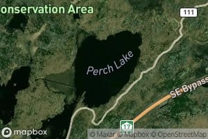 Perch Lake