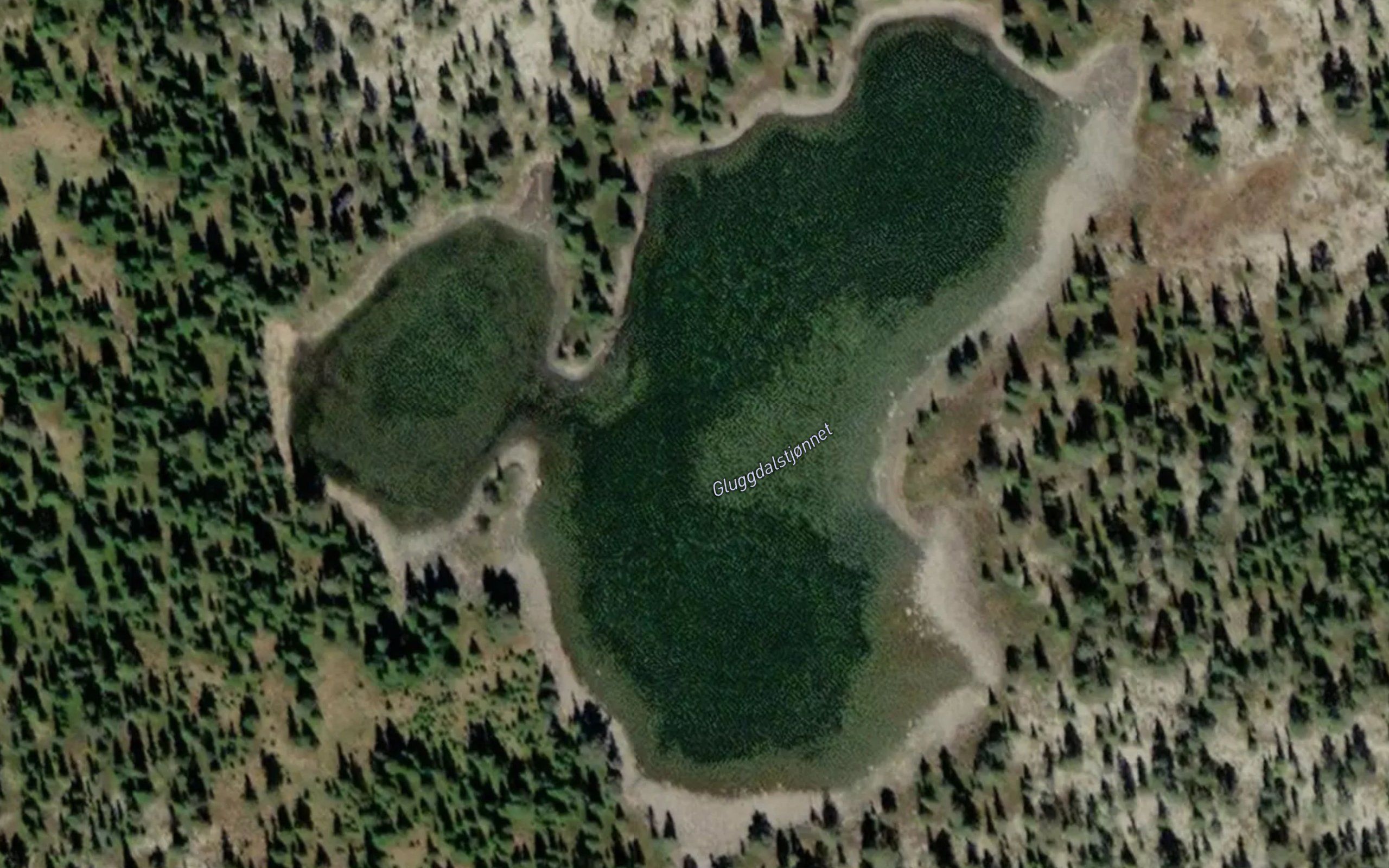 Gluggdalstjonna