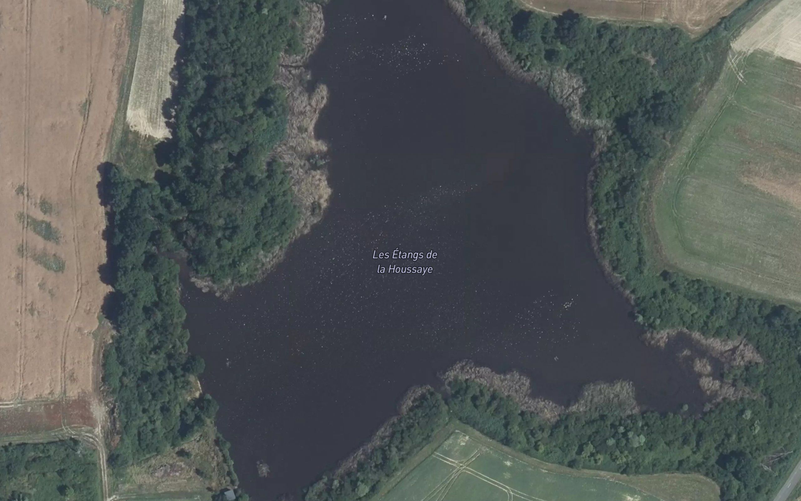 Etang de la Houssais