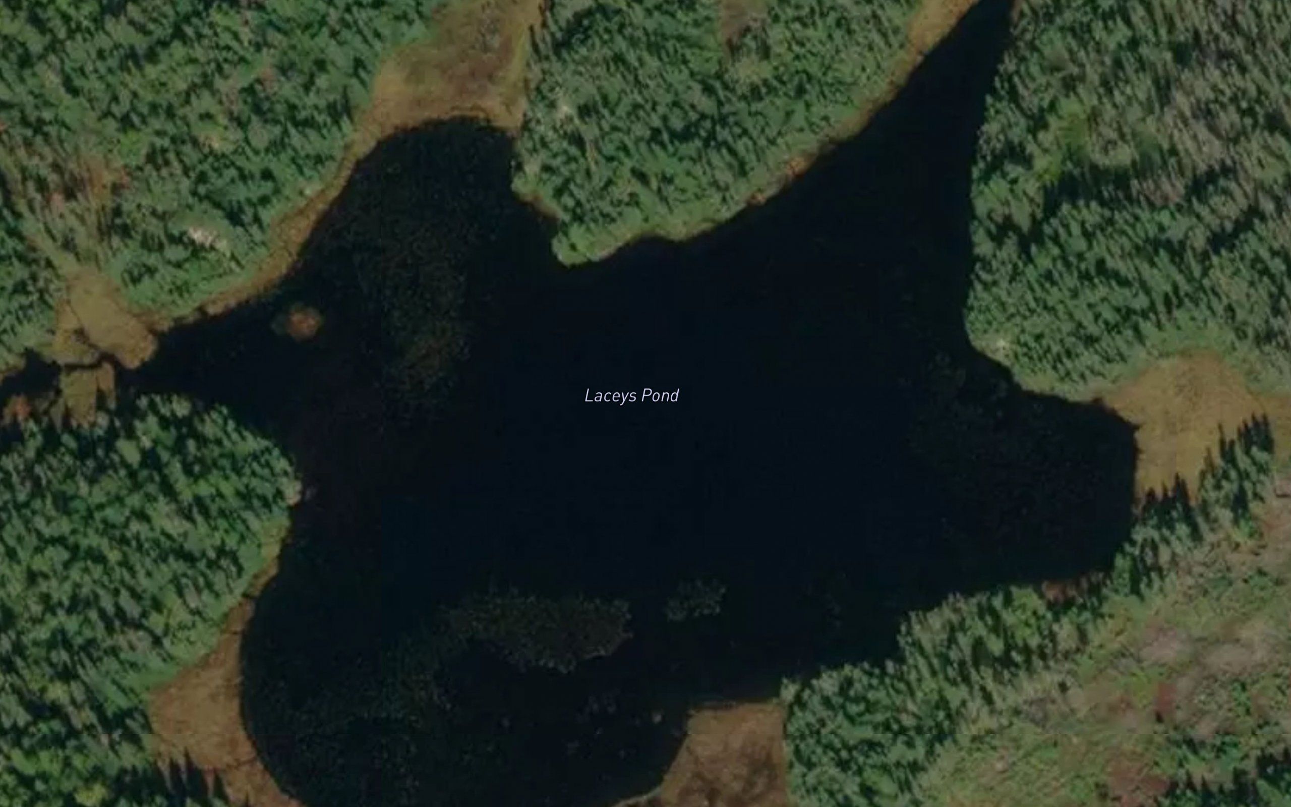 Laceys Pond