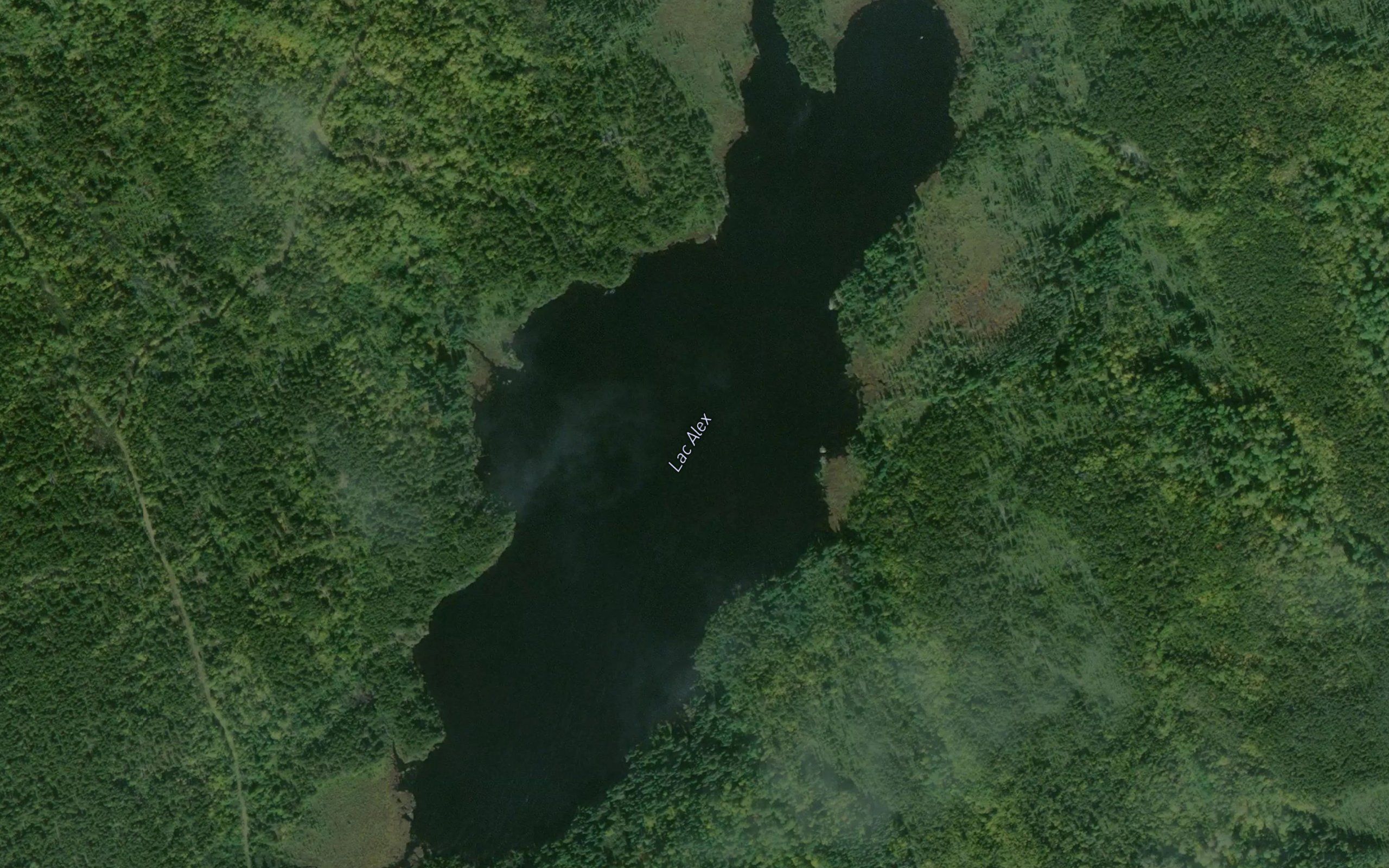 Lac Alex