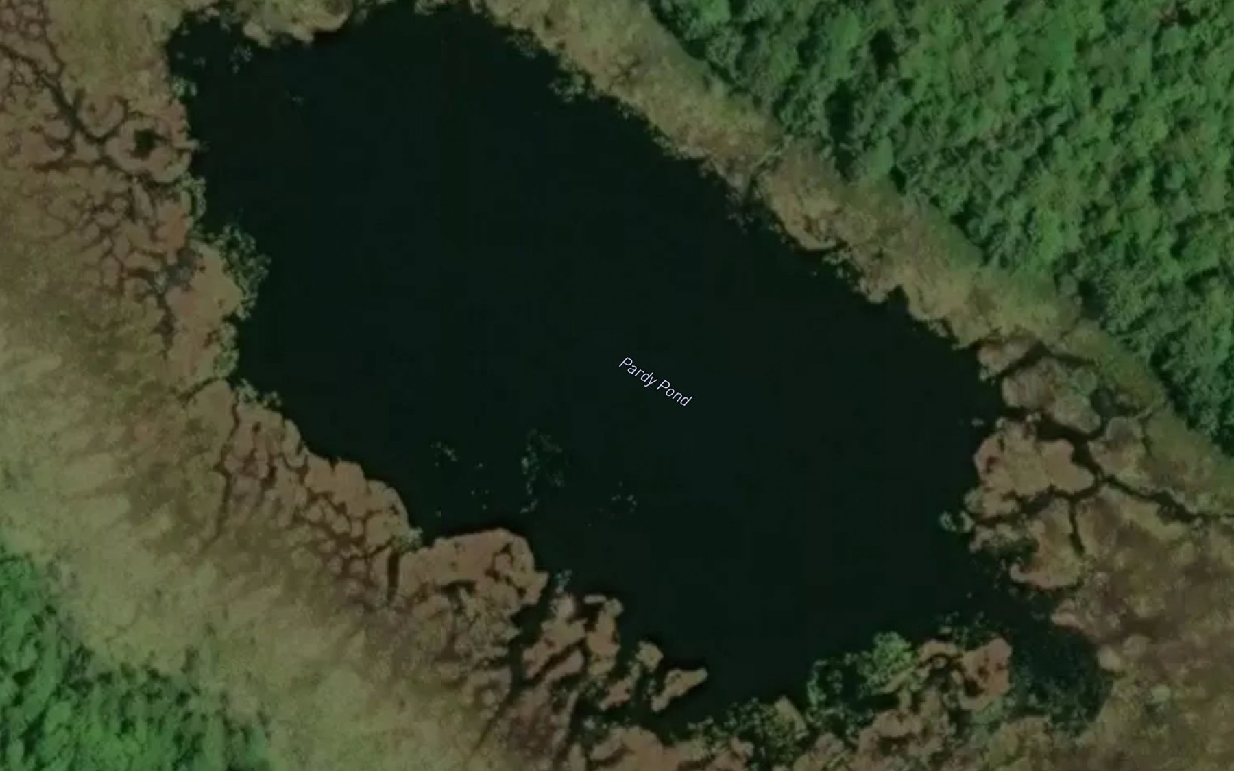 Satellite map of the Pardy Pond