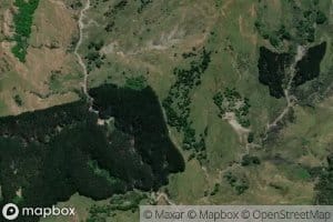 Kaurekakanui Stream