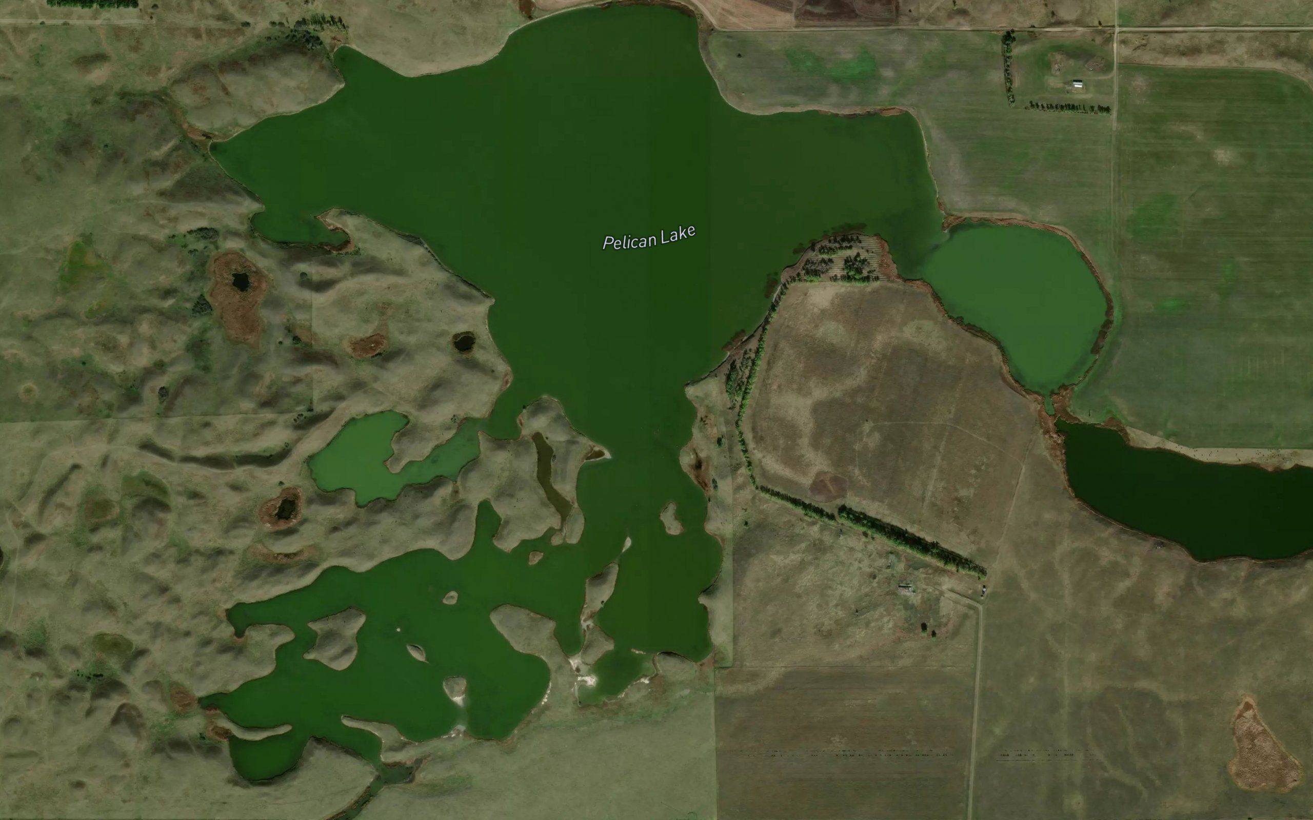 Pelican Lake