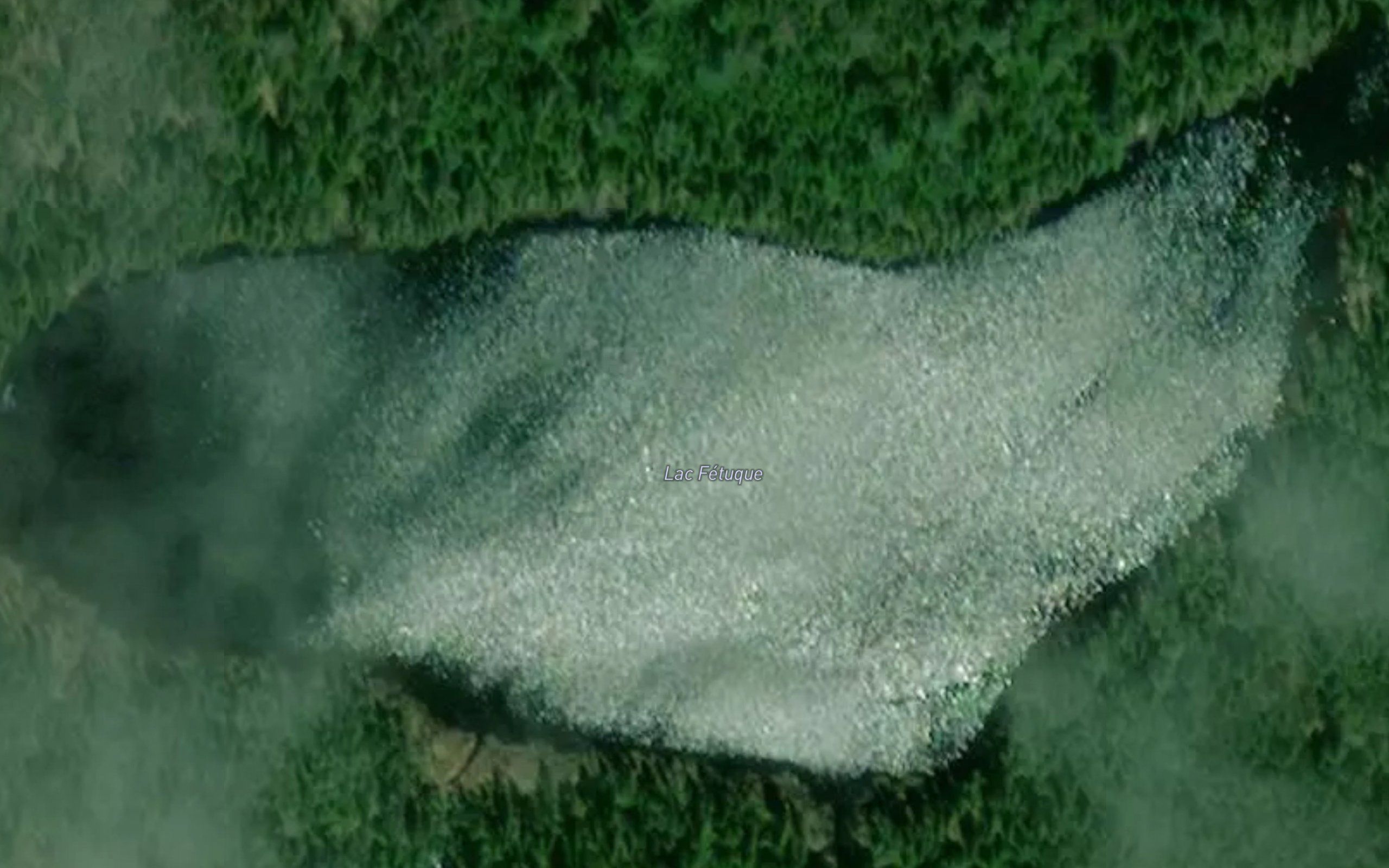 Lac Fetuque