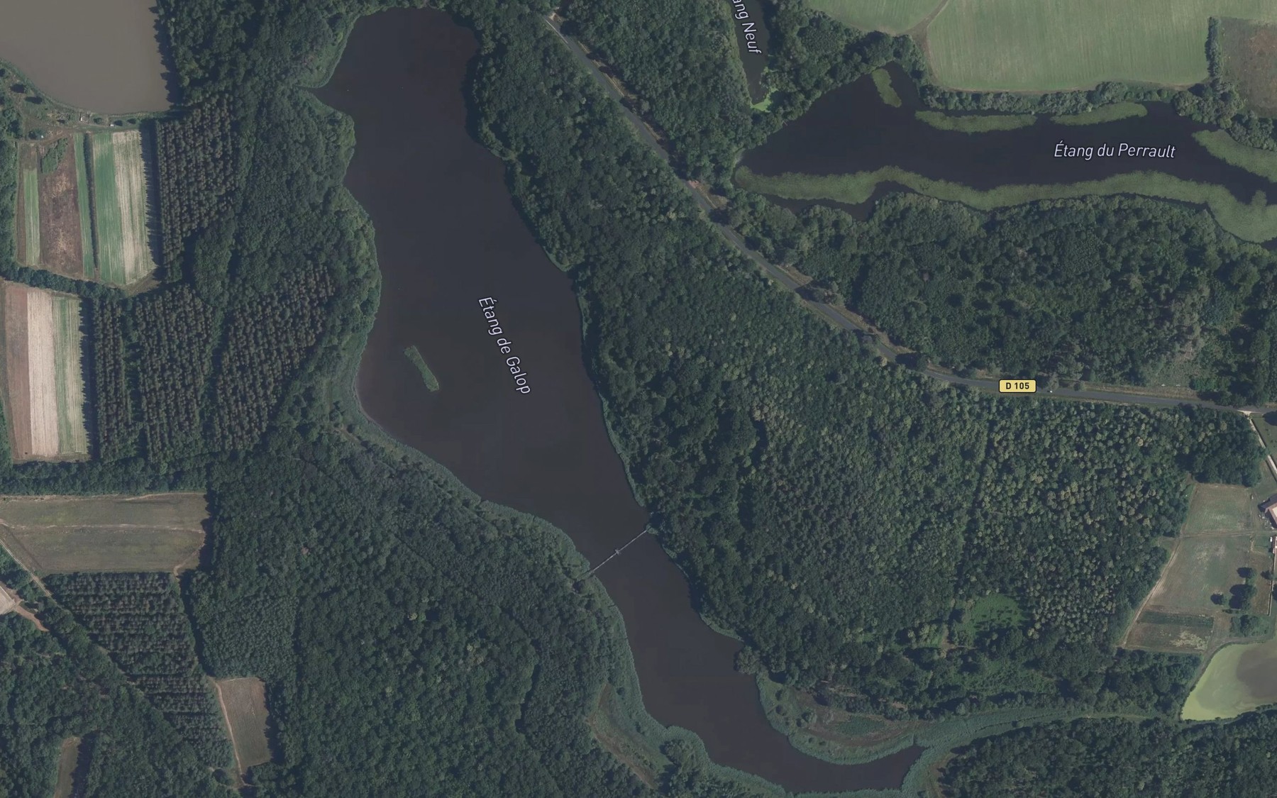 Satellite map of the Etang de Galop