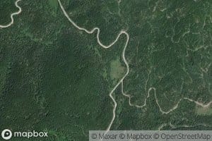 Jungle Creek