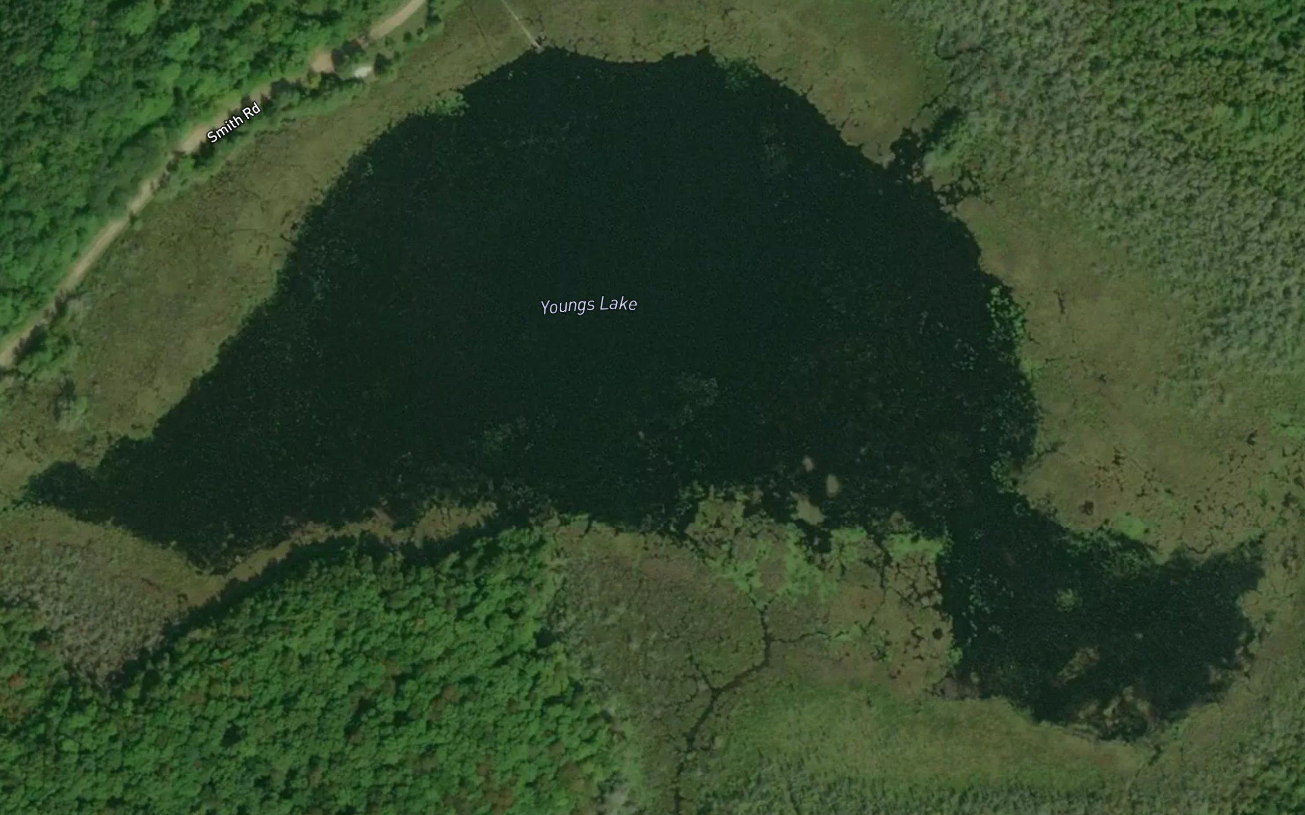 Youngs Lake