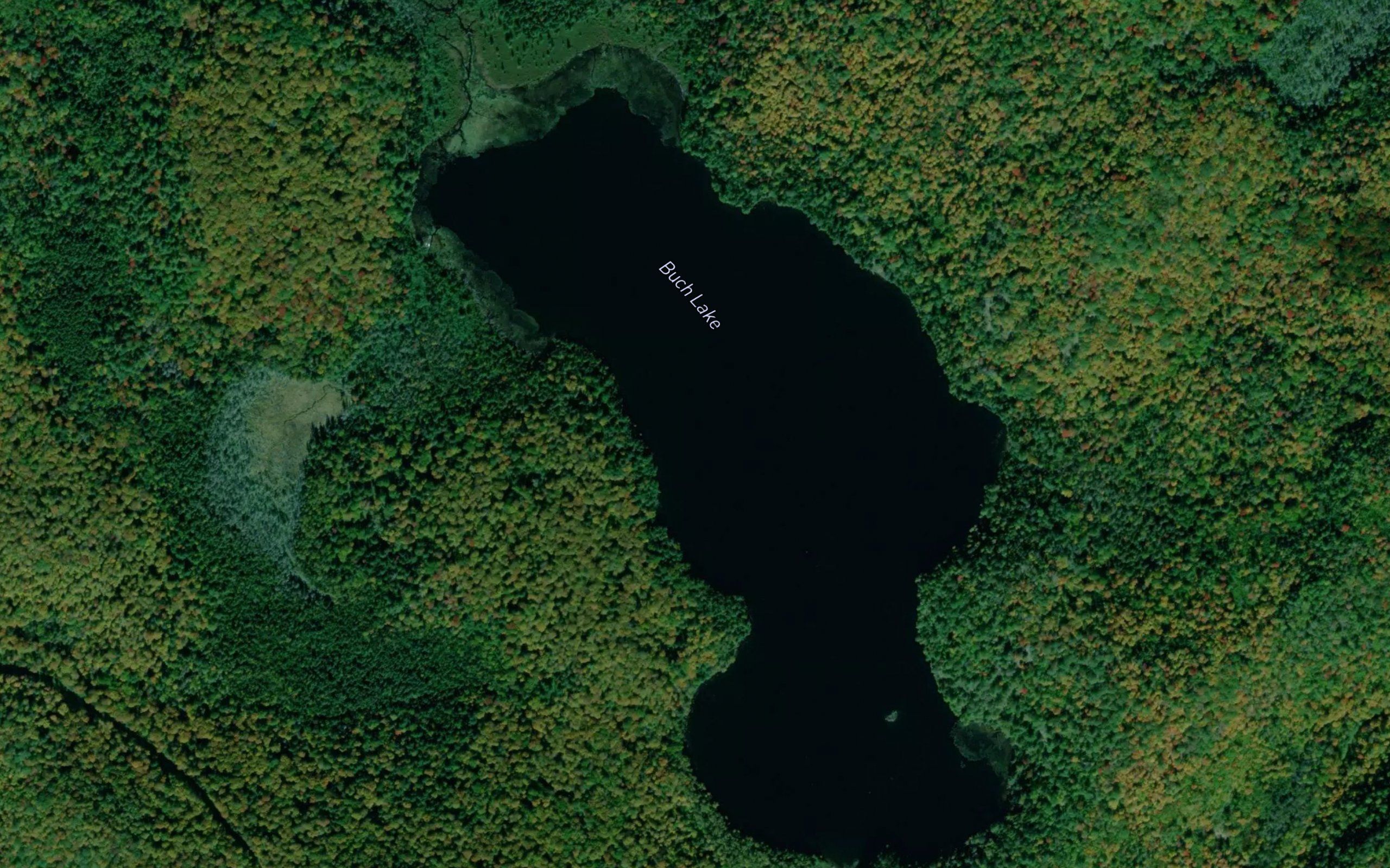 Buck Lake