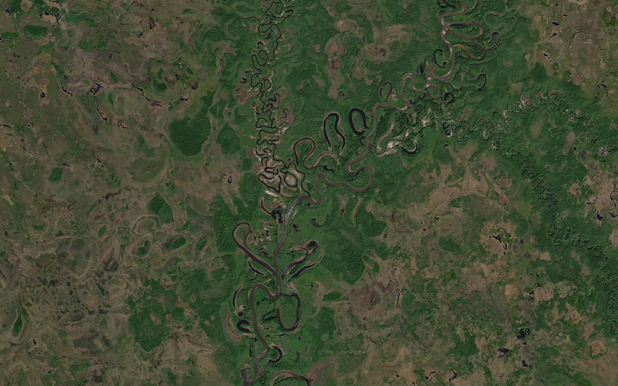 Nyurya