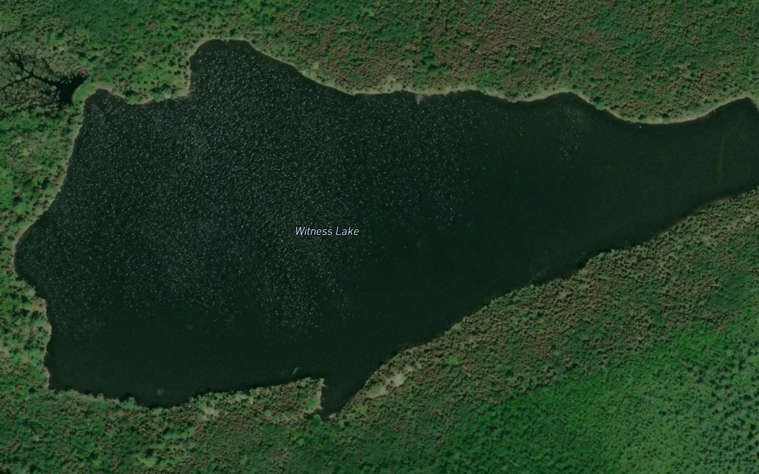 Witness Lake
