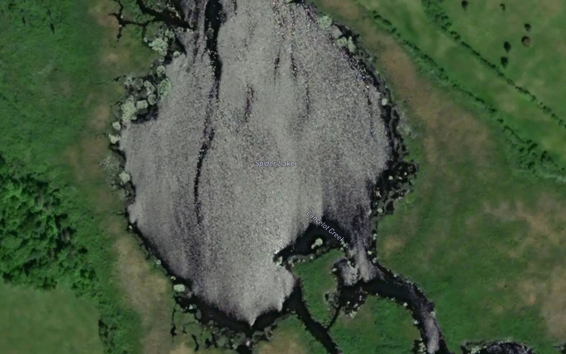 Satellite map of the Spider Lake