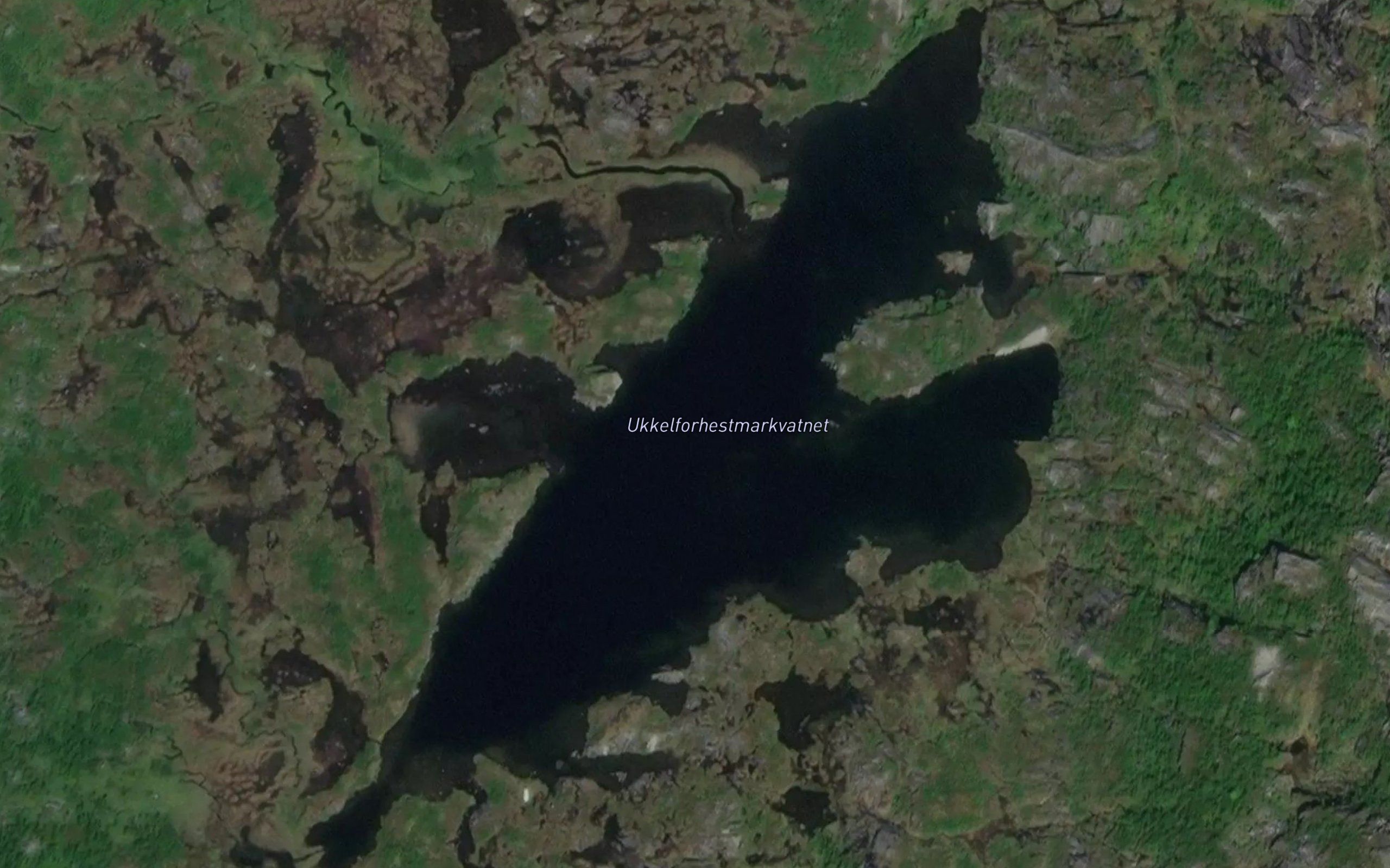 Ukkelforhestmarkvatnet