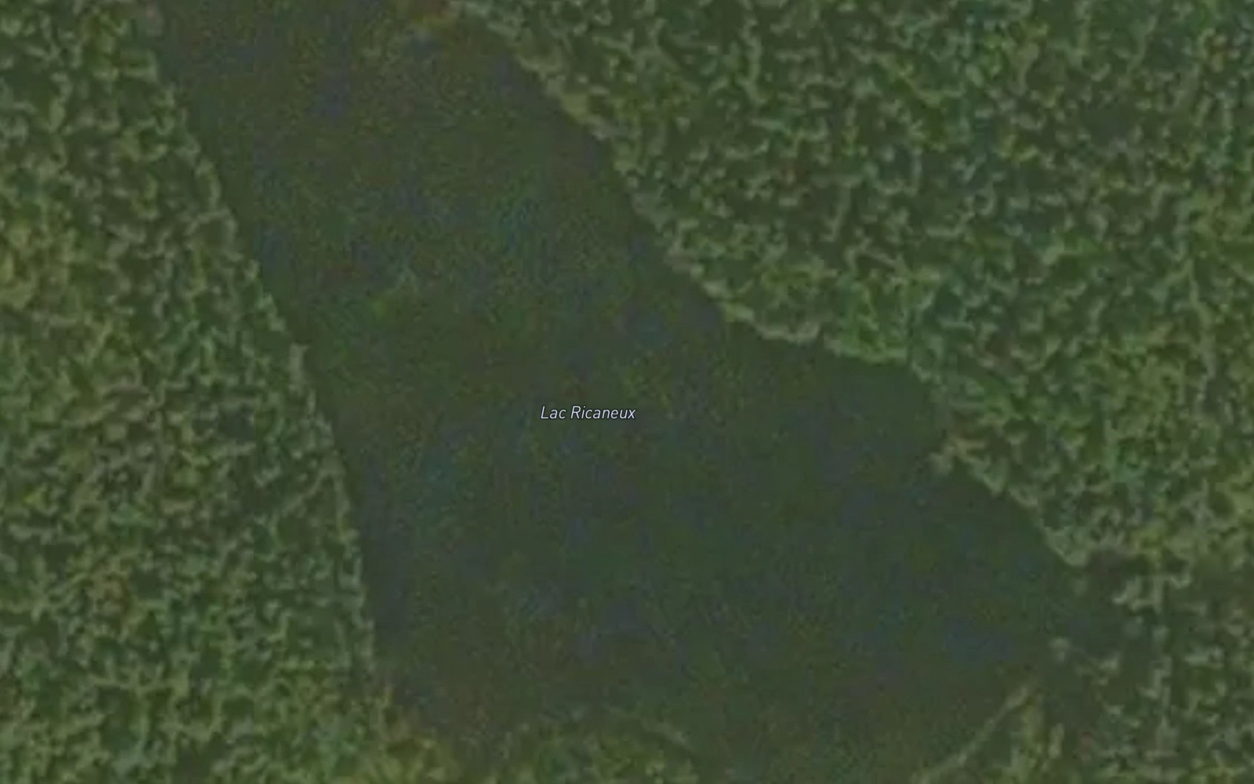 Satellite map of the Lac Ricaneux