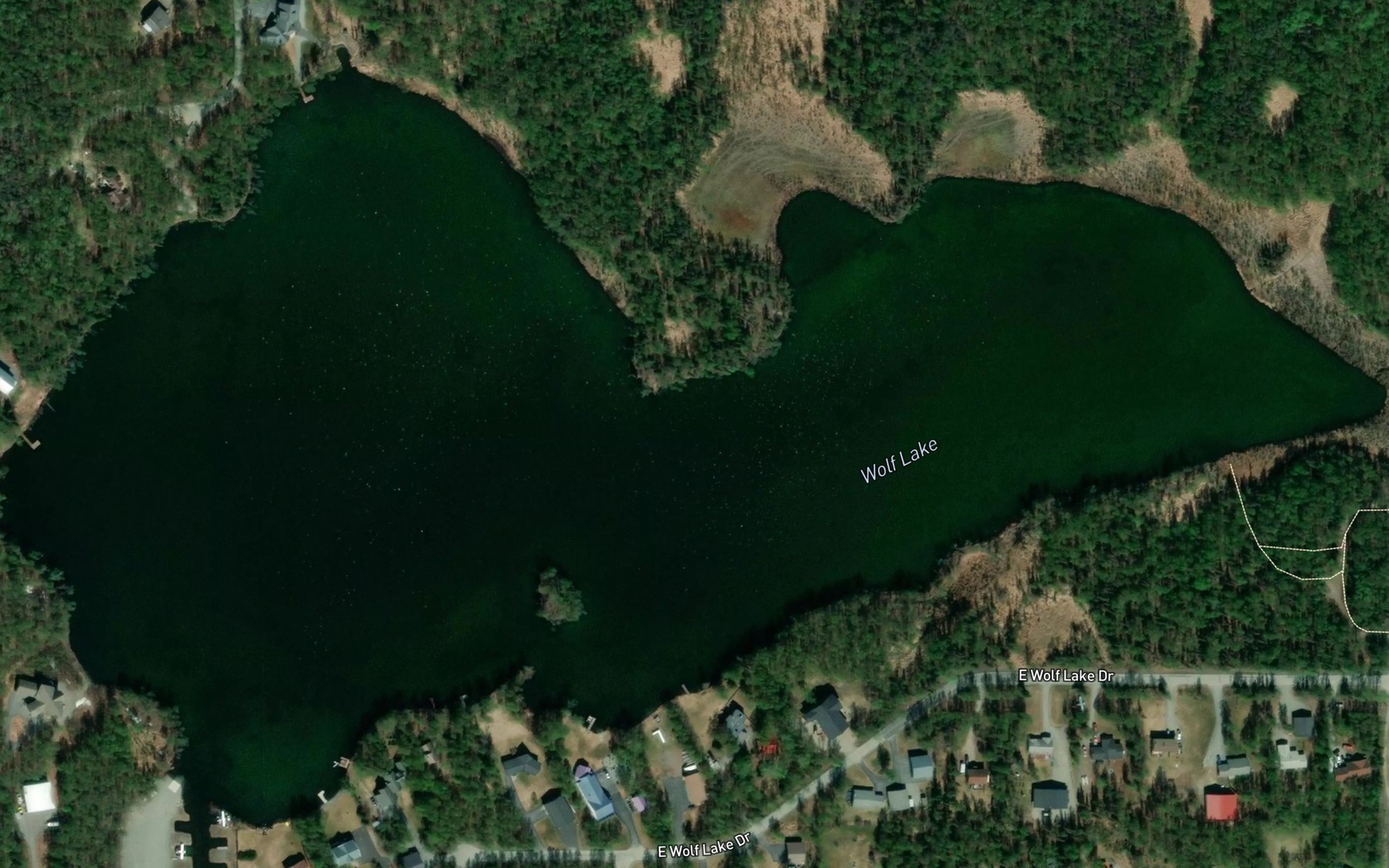 Satellite map of the Wolf Lake