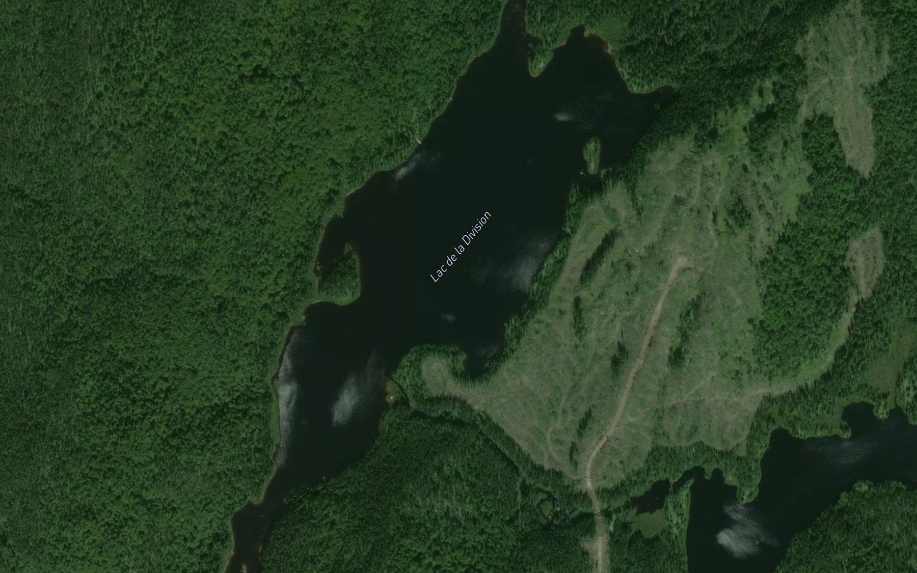 Satellite map of the Lac de la Division
