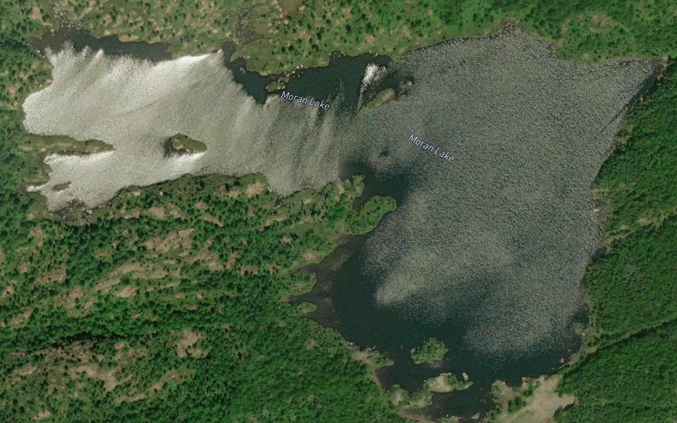 Moran Lake