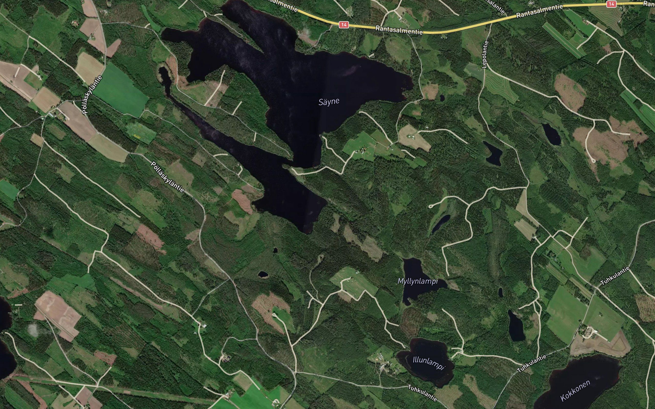 Kissanjoki