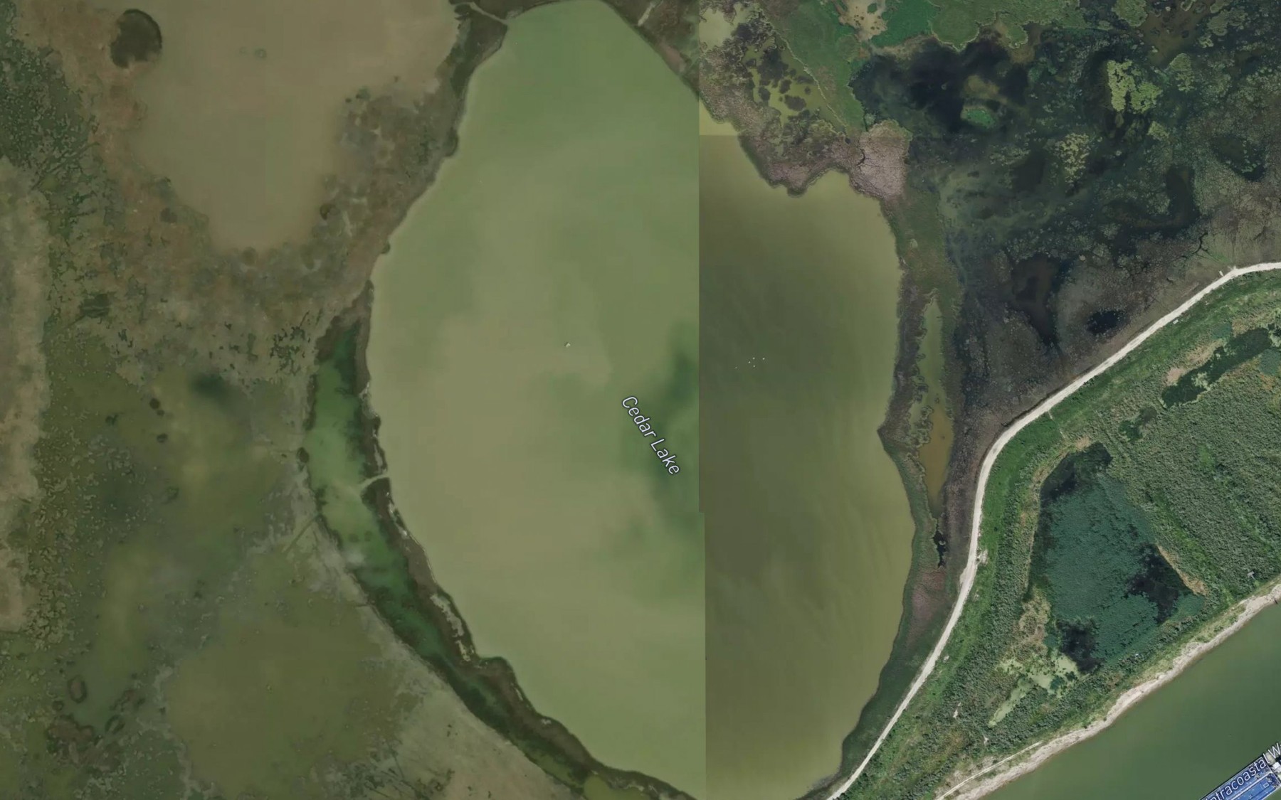 Satellite map of the Cedar Lake