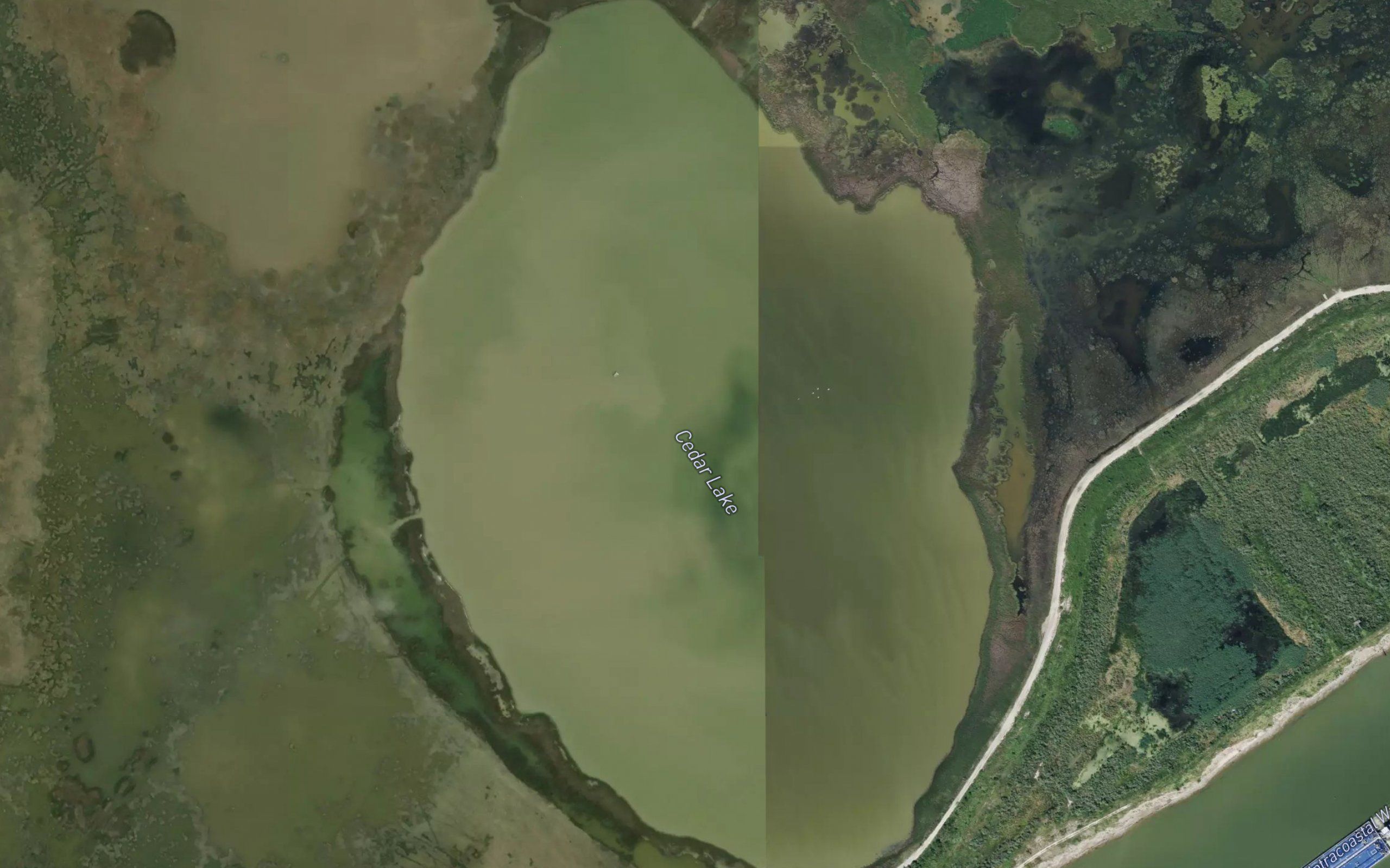 Cedar Lake