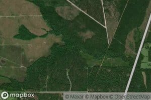 North Branch Adams Creek