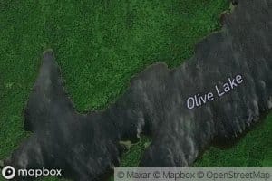 Olive Lake