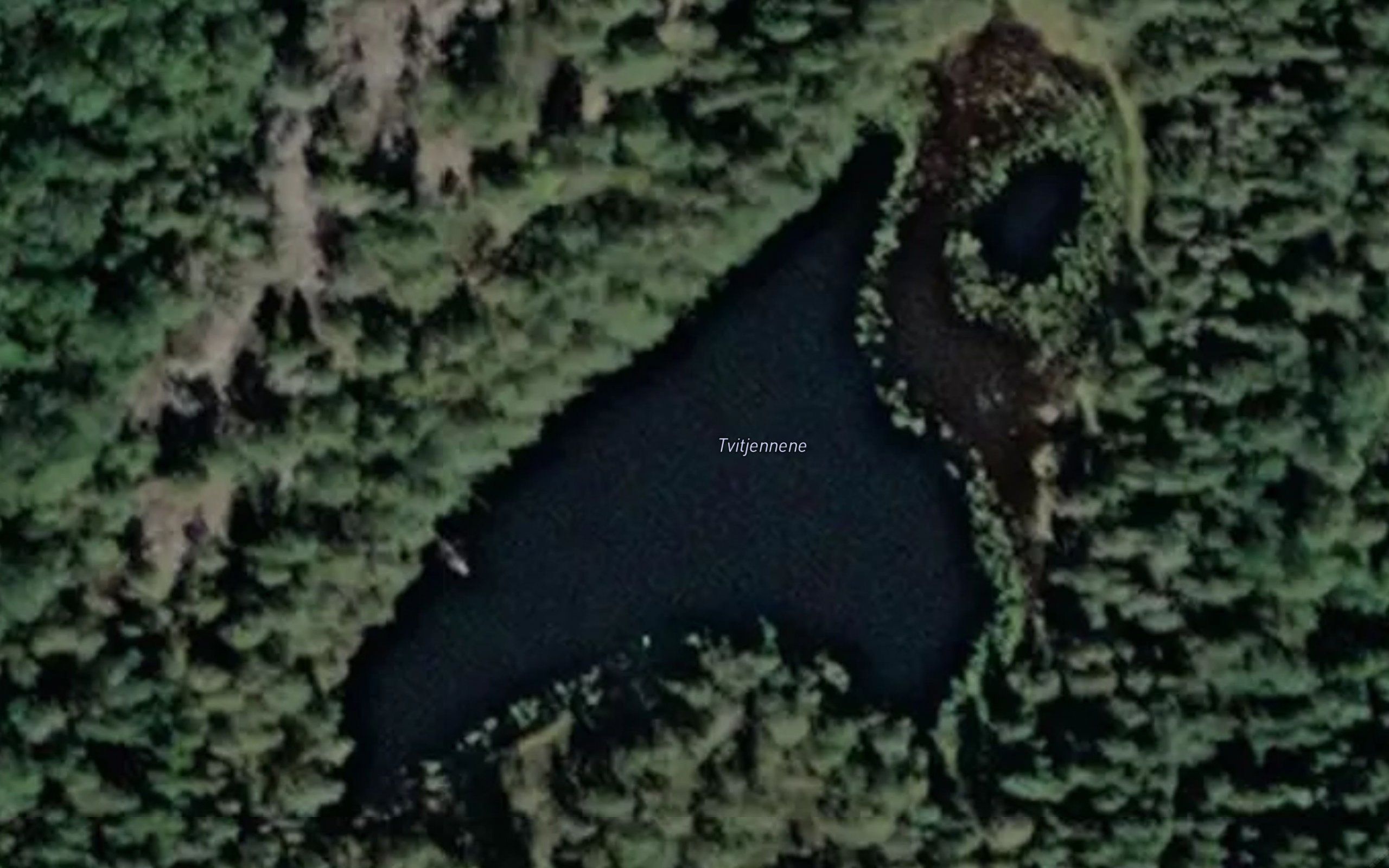 Tvitjennene