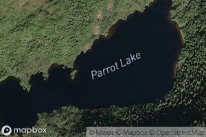 Parrot Lake