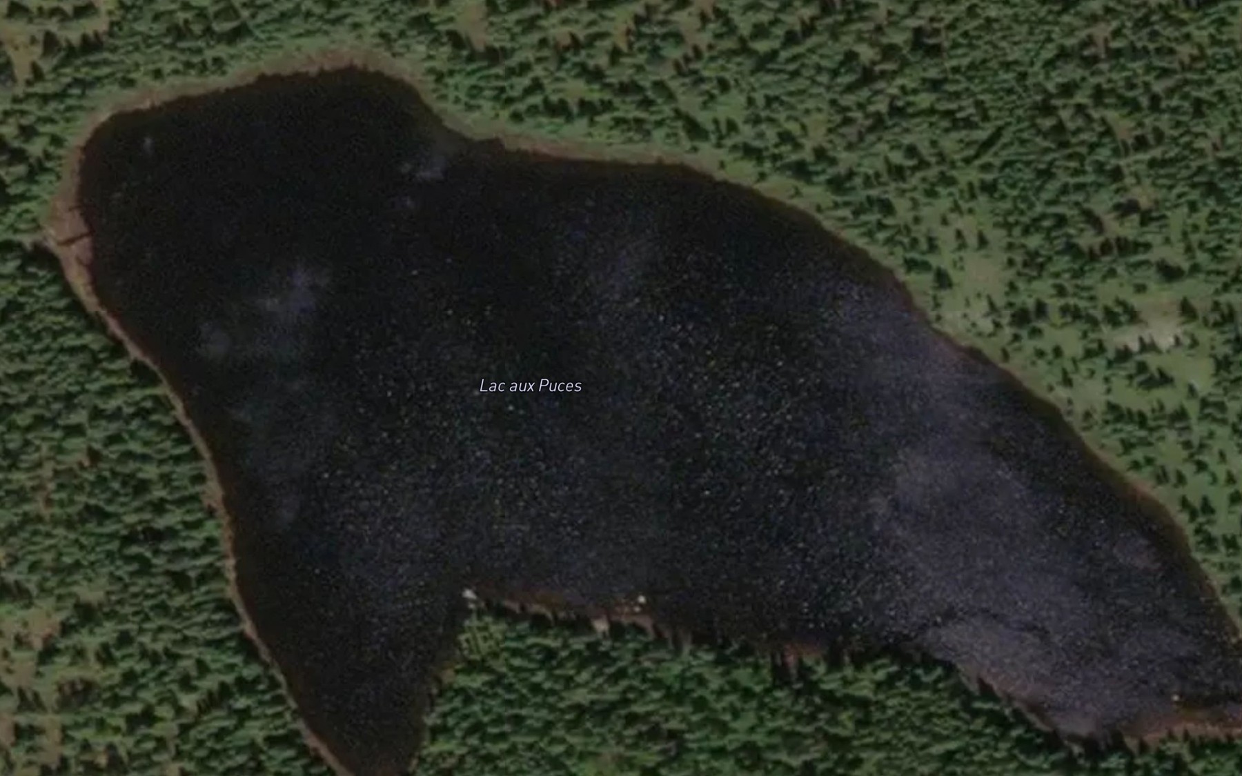 Satellite map of the Lac aux Puces