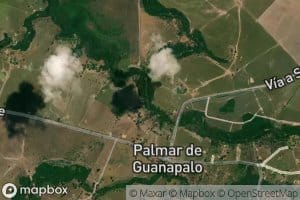 Cano El Palmar