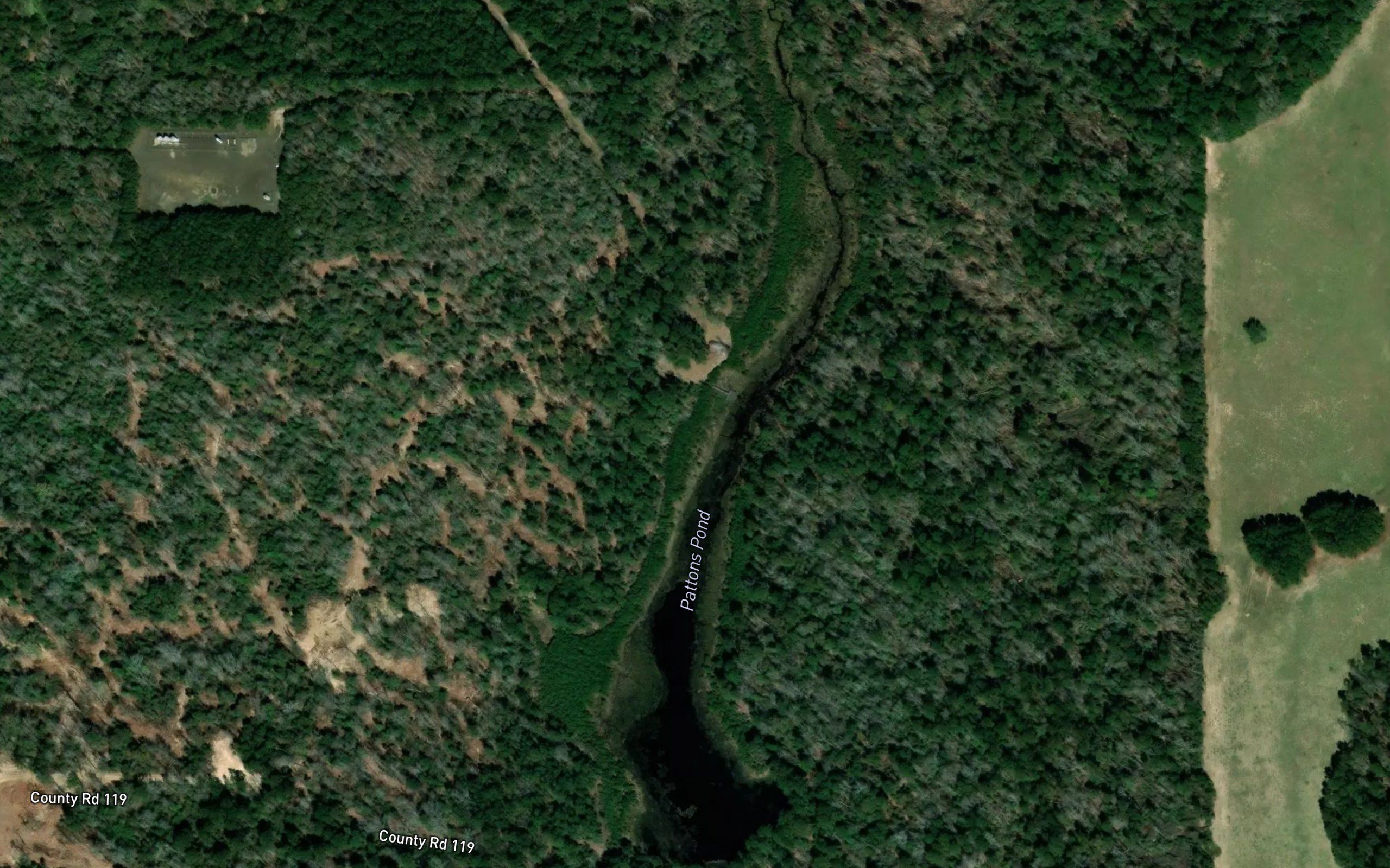 Pattons Pond