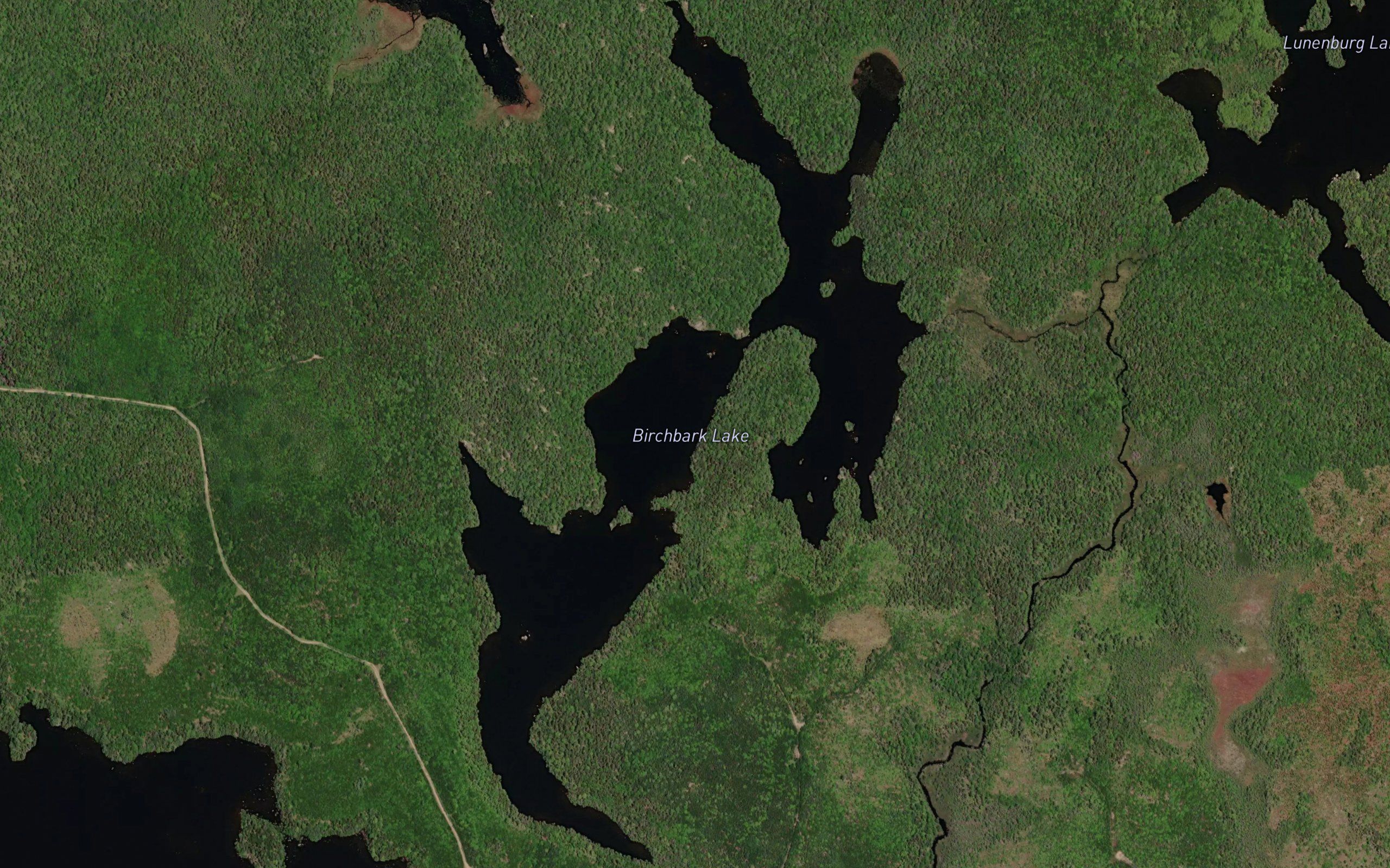 Birchbark Lake